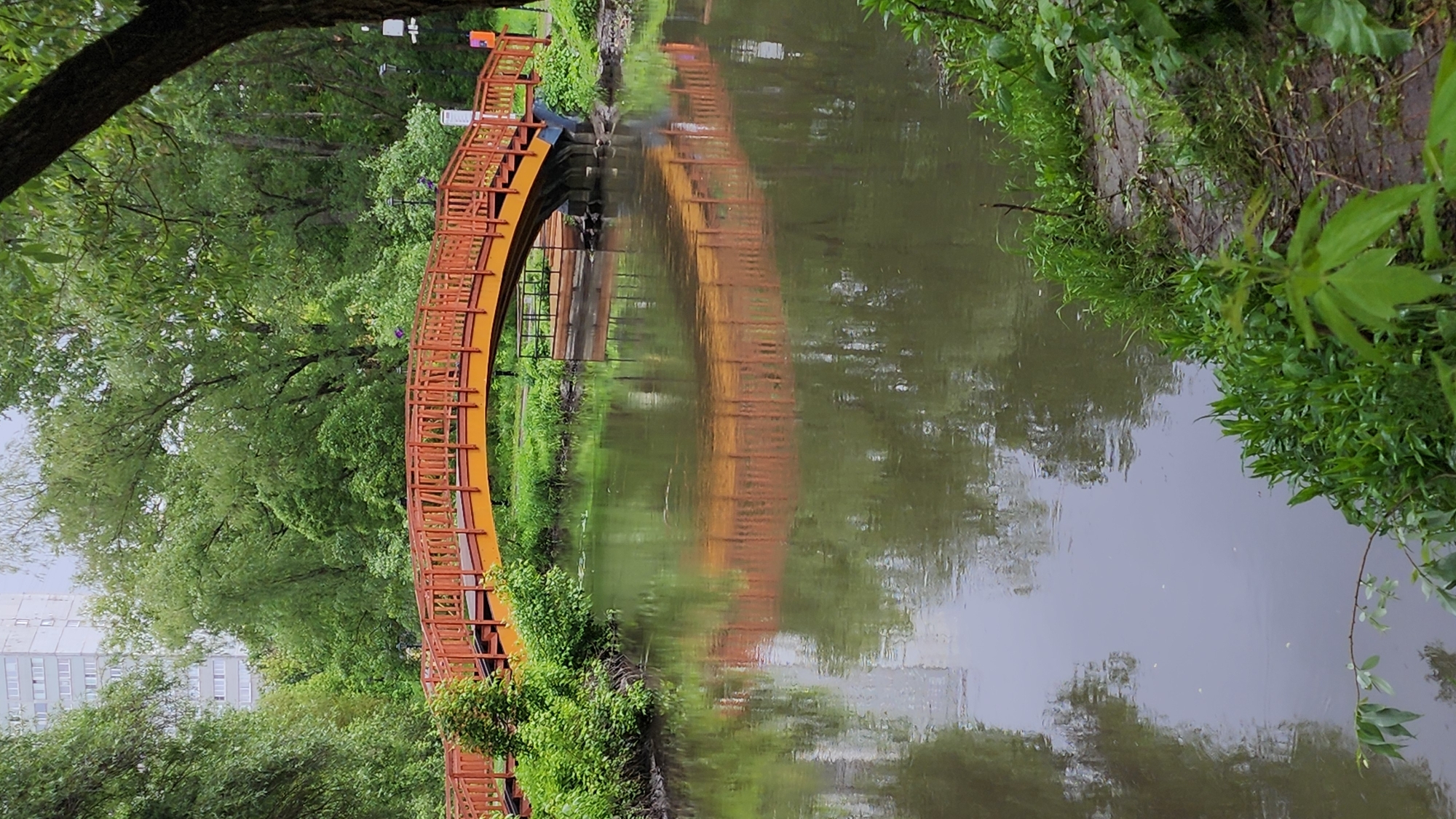 Here's a description of the image:
The image depicts a curved orange pedestrian bridge spanning a waterway, likely a canal or river, in a park-like setting. The bridge is reflected in the water below, creating a symmetrical visual effect. Lush green foliage lines both sides of the waterway, consisting of trees and bushes.
In the background, a multi-story building is visible through the trees, indicating an urban setting. Based on the architectural style and vegetation, this location is likely in Moscow, Russia, specifically the Red Pond park area. The overall impression is a tranquil scene within an urban environment. The weather appears overcast or slightly misty.