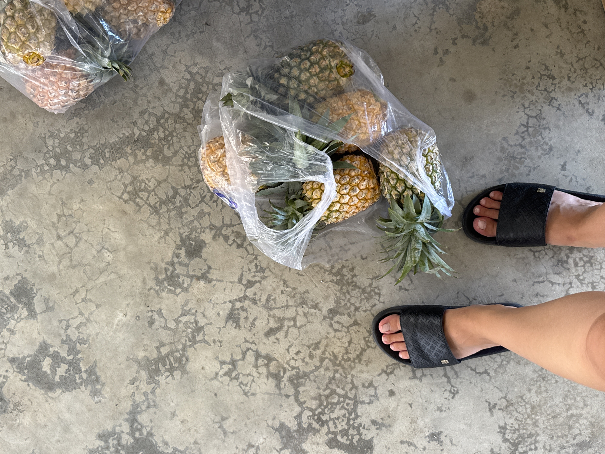 The image shows two pairs of black slide sandals on a concrete floor. A person's feet are visible, wearing the sandals. In the background, there are several pineapples in clear plastic bags. One bag is closer to the foreground and contains multiple pineapples, with their green leafy tops visible. Another bag of pineapples is further in the background, on the left side of the image. The concrete floor appears worn, with some patches of discoloration and cracking. The lighting suggests it is daytime, possibly outdoors given the texture of the concrete. The overall scene appears casual and domestic, possibly in a yard or walkway in Hội Tín, Vietnam. There is no visible text in the image.