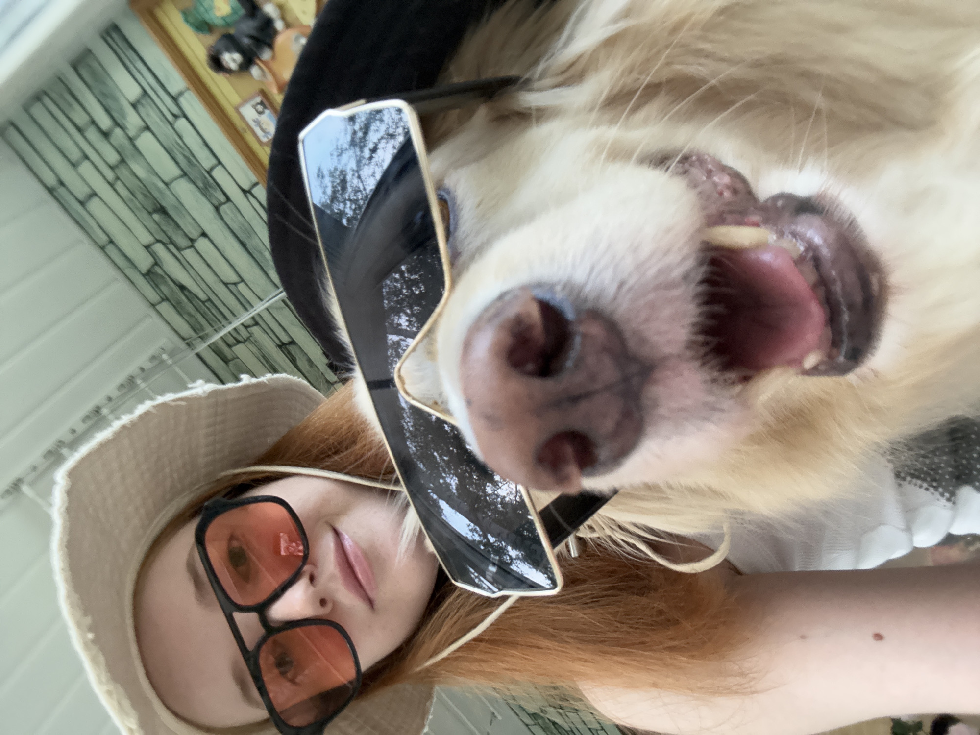 A selfie taken from a low angle shows a fair-skinned woman wearing a light-colored hat and black-framed glasses with orange lenses. A dog is positioned above her head, also wearing sunglasses, and panting with its mouth open. The dog is light-colored with long fur. In the background, a white brick wall can be seen, along with a framed picture on the wall. The photograph appears to have been taken in a sunny outdoor setting.
I am unable to determine the specific location within the city of Chaikovsky, Russia from the image.