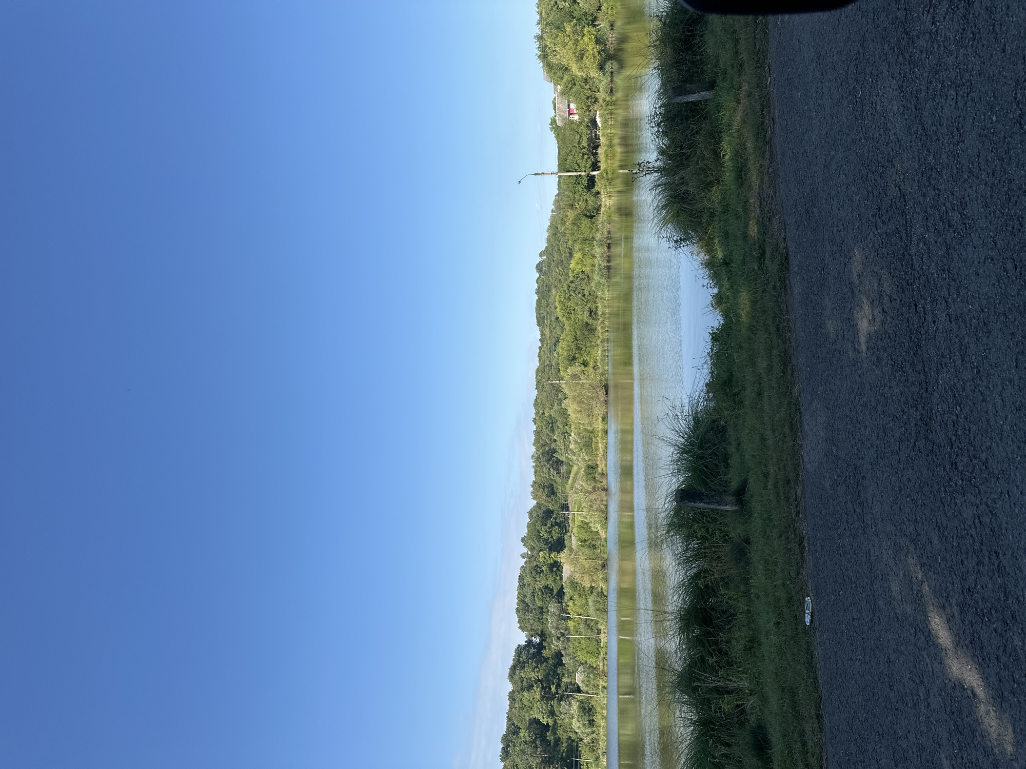 The image depicts a body of water, likely a lake or pond, on a clear day under a bright blue sky. The foreground shows a dark asphalt surface, possibly a road or parking area, with patches of sunlight and shadow. To the left and center of the foreground, there is a strip of green grass and tall weeds bordering the water. A discarded white object, possibly a plastic bottle or wrapper, lies on the grass.
The water is calm and reflects the surrounding environment. Along the far bank of the water, there is a dense line of trees and vegetation, with some glimpses of buildings and a utility pole among the foliage. The landscape appears to be rural or semi-rural, with rolling hills in the background. The overall impression is one of a peaceful natural setting. There are no people visible in the image.