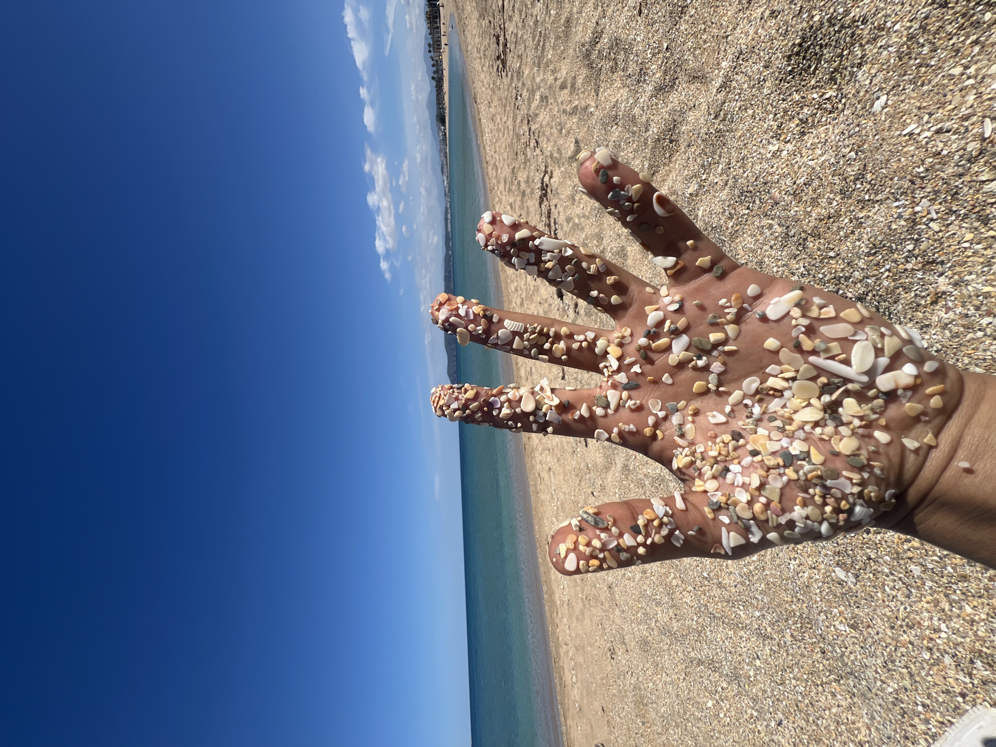 A medium, eye-level shot depicts a light-skinned human hand covered in small shells, with a beach and ocean in the background. The fingers are spread apart, showcasing the shells adhering to the skin. The beach surface is a light tan, speckled with similar small shells and pebbles. In the background, a strip of turquoise ocean meets the shoreline, followed by a line of buildings indicating the city of M'Diq ⵎⴹⵢⴰⵇ المضيق, Morocco. The sky is a bright blue, with a few small clouds visible towards the horizon. The image is tilted to the left.