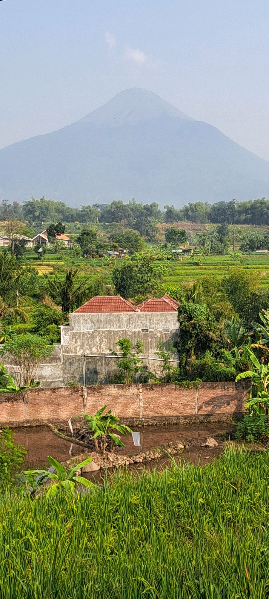 The image depicts a hazy mountain vista behind a lush, terraced landscape of rice paddies and scattered houses in Candi Wates, Indonesia. In the foreground, dense green rice stalks fill the bottom of the frame. Behind them, a red brick wall delineates a property with a two-story concrete building featuring red tile roofs. This structure is surrounded by trees and vegetation. Further into the background, more houses are nestled among the greenery, with the rice terraces forming distinct green stripes. The horizon is dominated by a large, soft-edged mountain, partially obscured by mist or haze, under a pale blue sky. The overall scene conveys a tranquil rural atmosphere.