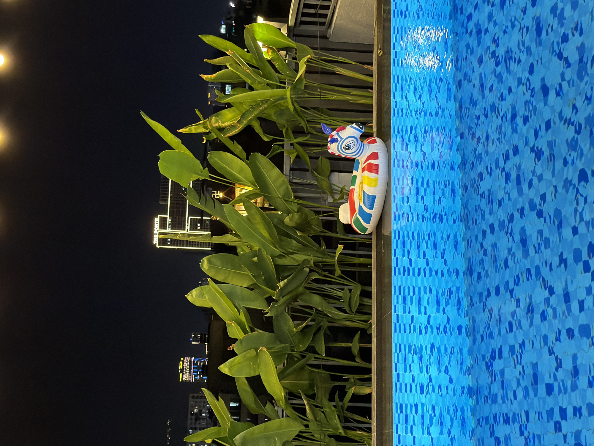 A nighttime scene unfolds at a rooftop swimming pool in Đà Nẵng, Vietnam. The foreground is dominated by the vibrant blue tiles of the swimming pool, with light glinting off the water's surface. Resting on the edge of the pool is a colorful inflatable unicorn float, its body adorned with red, yellow, green, and white stripes. Behind the pool, a lush arrangement of large, green tropical plants forms a verdant backdrop. In the distance, the illuminated cityscape of Đà Nẵng is visible, with several buildings, including a tall, modern structure labeled "THE PONTE" and another building with colorful lights, piercing the dark night sky. The overall impression is one of a relaxed, urban evening oasis.