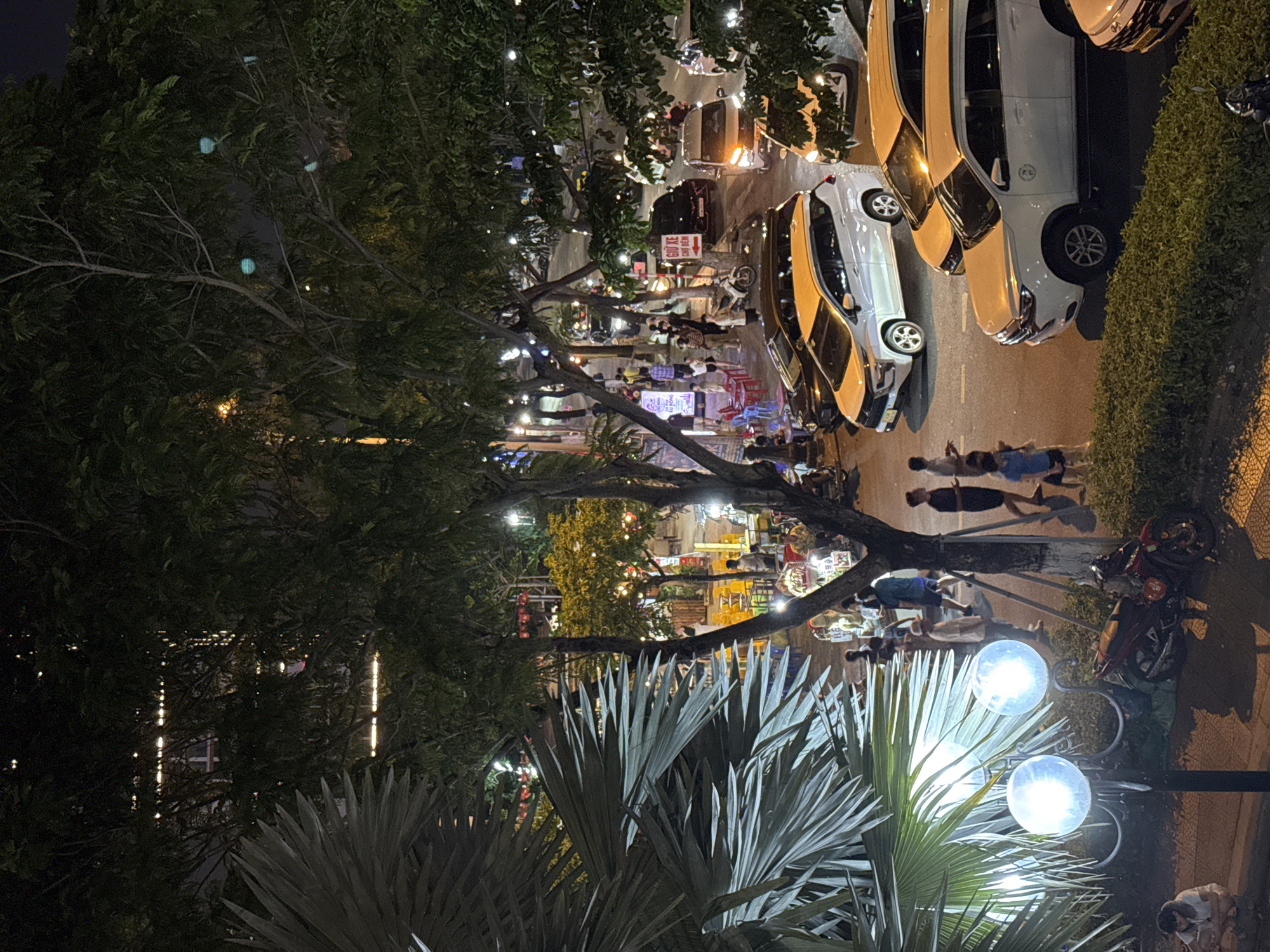 The image captures a night scene in Đà Nẵng, Vietnam, focusing on a street with several vehicles, pedestrians, and illuminated trees. In the foreground, a large palm-like plant with broad leaves dominates the left side, with a lamp post featuring three spherical, glowing lights positioned below it. A red motorcycle is parked to the right of the lamp post.
The street is populated with various vehicles, including white and silver SUVs, a yellow SUV, and a black car. Several people are walking along the sidewalk and street, some standing in small groups, and others engaged in activities near food stalls. The scene is illuminated by streetlights, vehicle headlights, and the lights from buildings in the background. The trees lining the street are adorned with small, blue, spherical lights, adding to the festive atmosphere. The overall impression is a bustling urban environment at night.