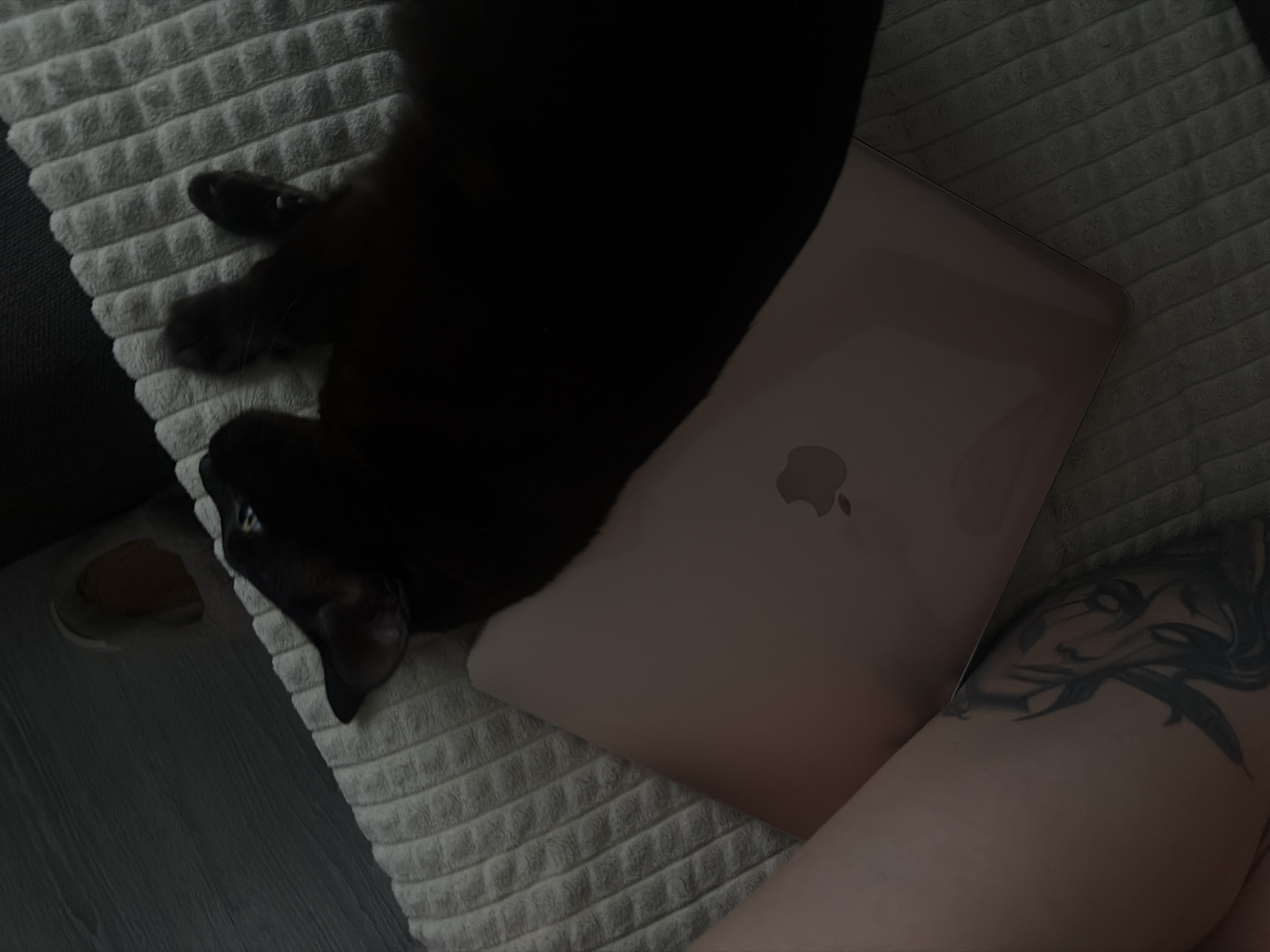 A black cat is lying on a textured grey blanket, partially covering a rose gold laptop. The cat's head is turned towards the left, with its blue eyes visible. The laptop is open, with the Apple logo visible on its lid. To the left of the laptop, a human leg with a tattoo is visible. The scene appears to be indoors, possibly on a couch or bed. There is no information about the location in Novosaratovka, Russia.