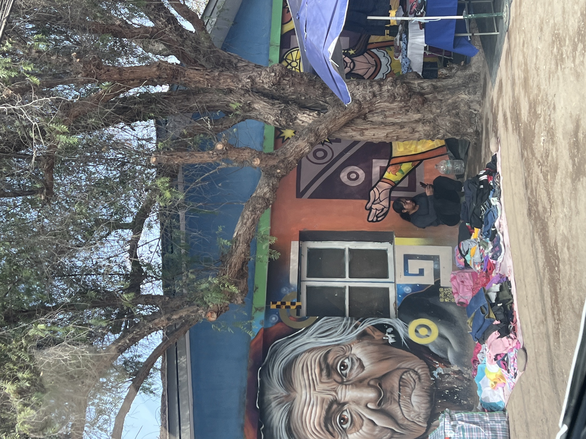 Here is a description of the image:
The image captures a street scene in Arica, Chile, featuring a building facade adorned with vibrant murals. The most prominent mural depicts the detailed face of an elderly woman. Nearby is a mural of a person sitting near a window. A large tree with bare branches and sparse foliage dominates the left side of the frame. The foreground shows a collection of items, likely clothing, spread along the sidewalk. A person is seated among these items, seemingly occupied with their phone. Clothes are hung on a clothes line above the building. The scene suggests a combination of street art, commerce, and daily life in Arica.
