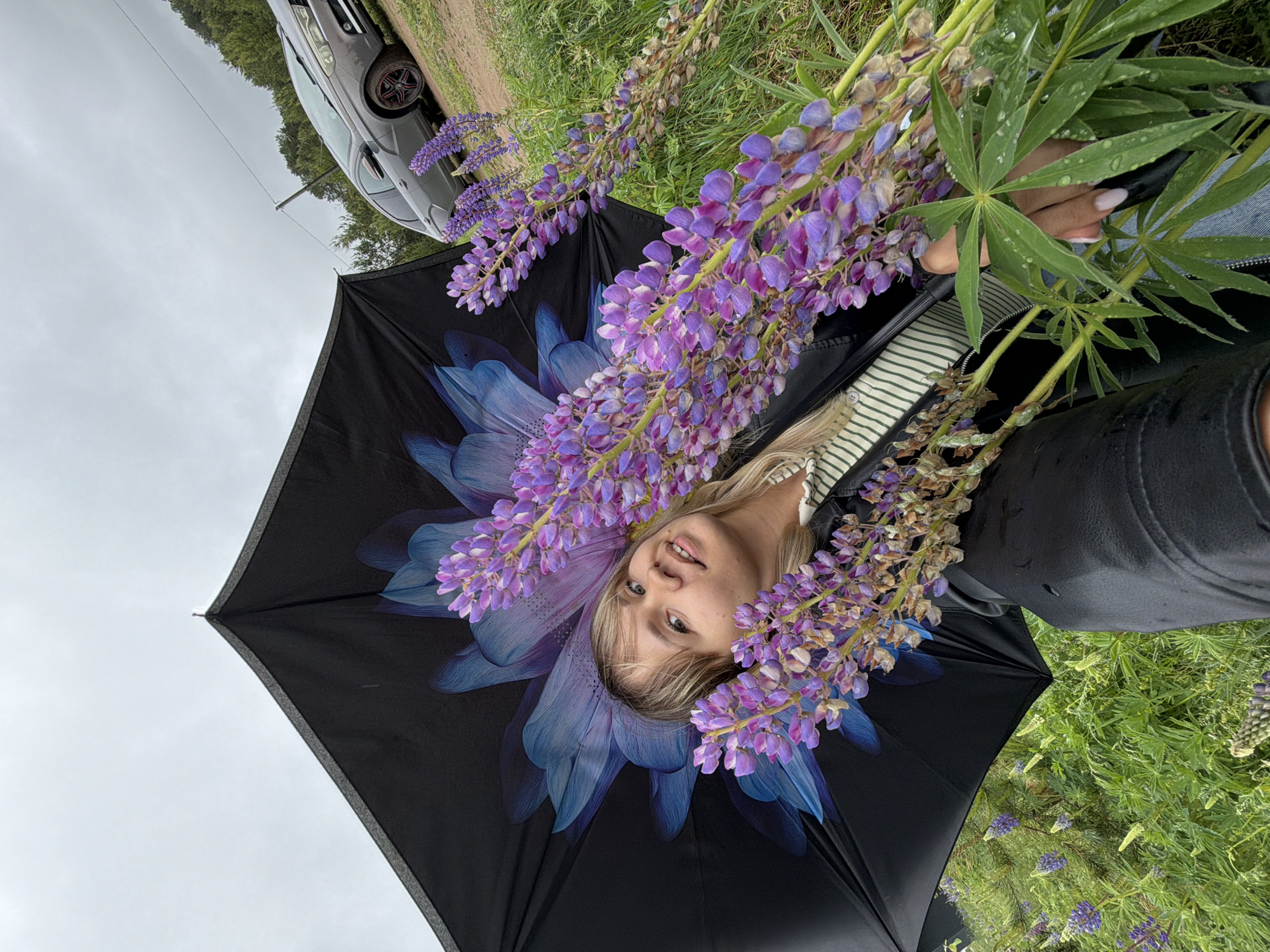 A woman with blonde hair lies underneath an open, black umbrella with a large blue flower design, with lupine flowers arranged around her face. She wears a striped shirt and a black jacket. Her right hand holds some of the lupine foliage. The umbrella is positioned in a field of green vegetation with other lupine plants growing. A grey car is visible in the background. The photo was taken in the city of Chaikovsky, Russia.