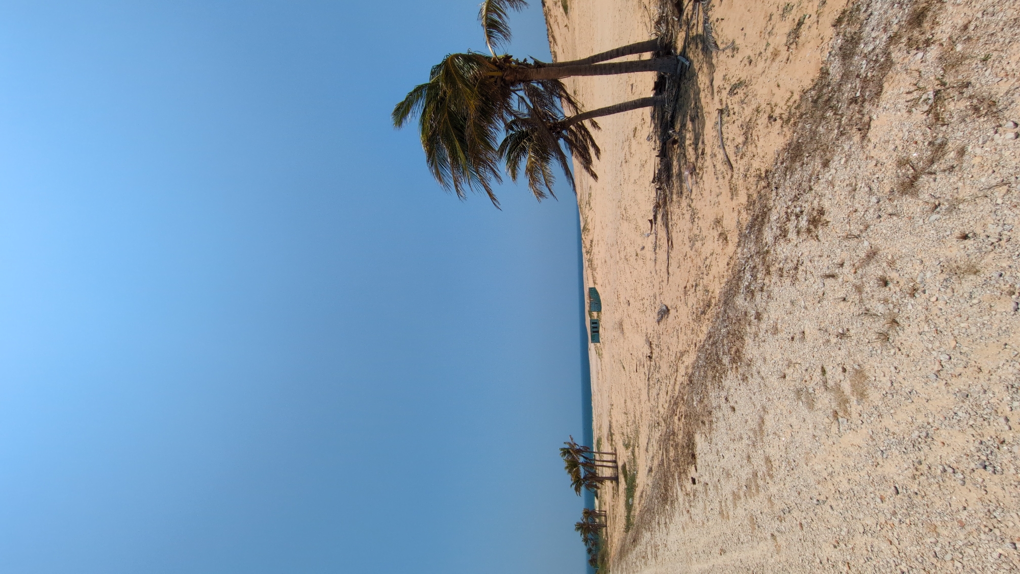 The image depicts a coastal scene in Phuoc Dinh, Vietnam. Dominating the upper left is a clear, light blue sky. Adjacent to the sky is a sandy beach with sparse vegetation. Several palm trees are visible along the coastline, some of which are clustered together. Further along the beach, a couple of small, rectangular structures can be seen, possibly cabanas or shelters. The sandy terrain transitions into a gravelly or rocky area in the foreground. The perspective is slightly tilted. A thin strip of blue water separates the beach from the sky.