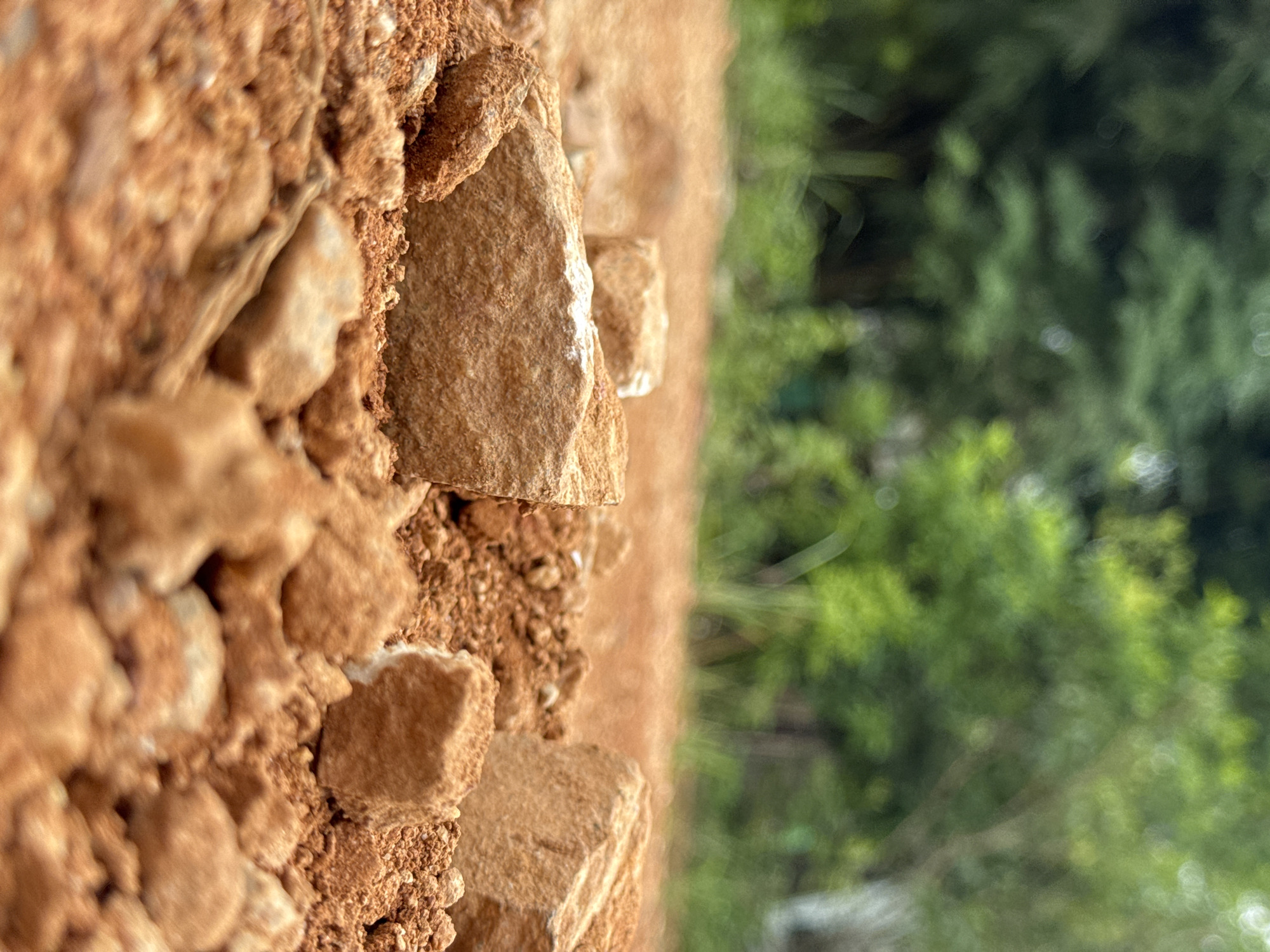 A low-angle, eye-level shot focuses on several rough-textured, light brown rocks and reddish-brown soil in the foreground. The rocks are of various sizes, with some appearing larger and more angular, while others are smaller and more rounded. Fine grains of soil are interspersed among the rocks, with some lighter-colored mineral deposits visible on the surfaces of the rocks.
The background is blurred with a soft bokeh effect. In the mid-ground, a patch of lighter brown, dusty ground is visible. Further back, lush green trees create a natural, out-of-focus backdrop. The lighting appears to be natural daylight, with a slightly overcast or diffused quality. The image conveys a sense of a natural, outdoor setting, possibly a path or clearing in a wooded area. No people or specific urban features are present.