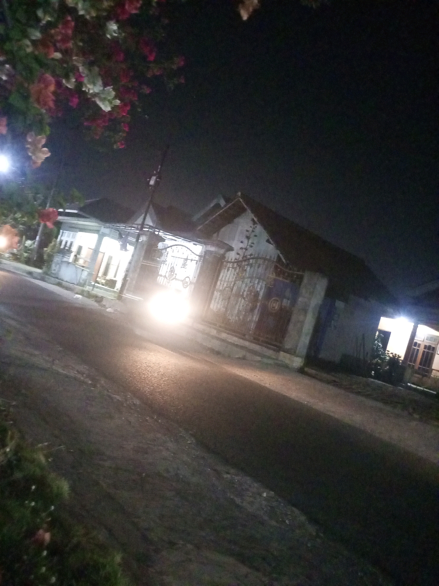 The image shows a nighttime street scene in Ngasem, Indonesia. A bright light, likely from a vehicle's headlights, illuminates the asphalt road in the foreground. On the right side of the road, a house with lights on inside is visible, featuring a light-colored exterior and windows. In the middle ground, another house with a metal gate is seen, also illuminated from within. Overhead, foliage with pink and white flowers is visible against the dark sky, adding a touch of nature to the urban landscape. The overall impression is a quiet residential street at night.