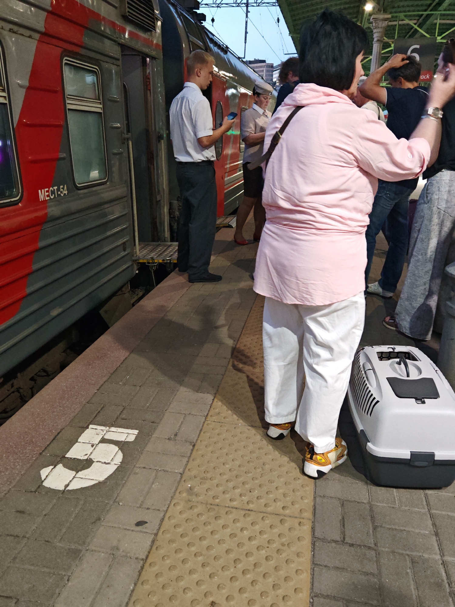 At a train station platform in Moscow, Russia, a young man with blond hair wearing a white shirt and dark pants stands next to a train car. He is holding a mobile phone. A woman in a pink shirt and white pants stands facing away from the camera, with a dark brown strap across her shoulder. To her right, a white pet carrier with a dark gray lid is on the platform. The platform has a yellow tactile paving on the right side and brick paving on the left, with a white number "5" painted on the bricks. In the background, other people are visible, including a person wearing a blue t-shirt and jeans, and another person wearing a grey skirt. The train car has red and gray sections and Cyrillic lettering that reads "MECT-54".
