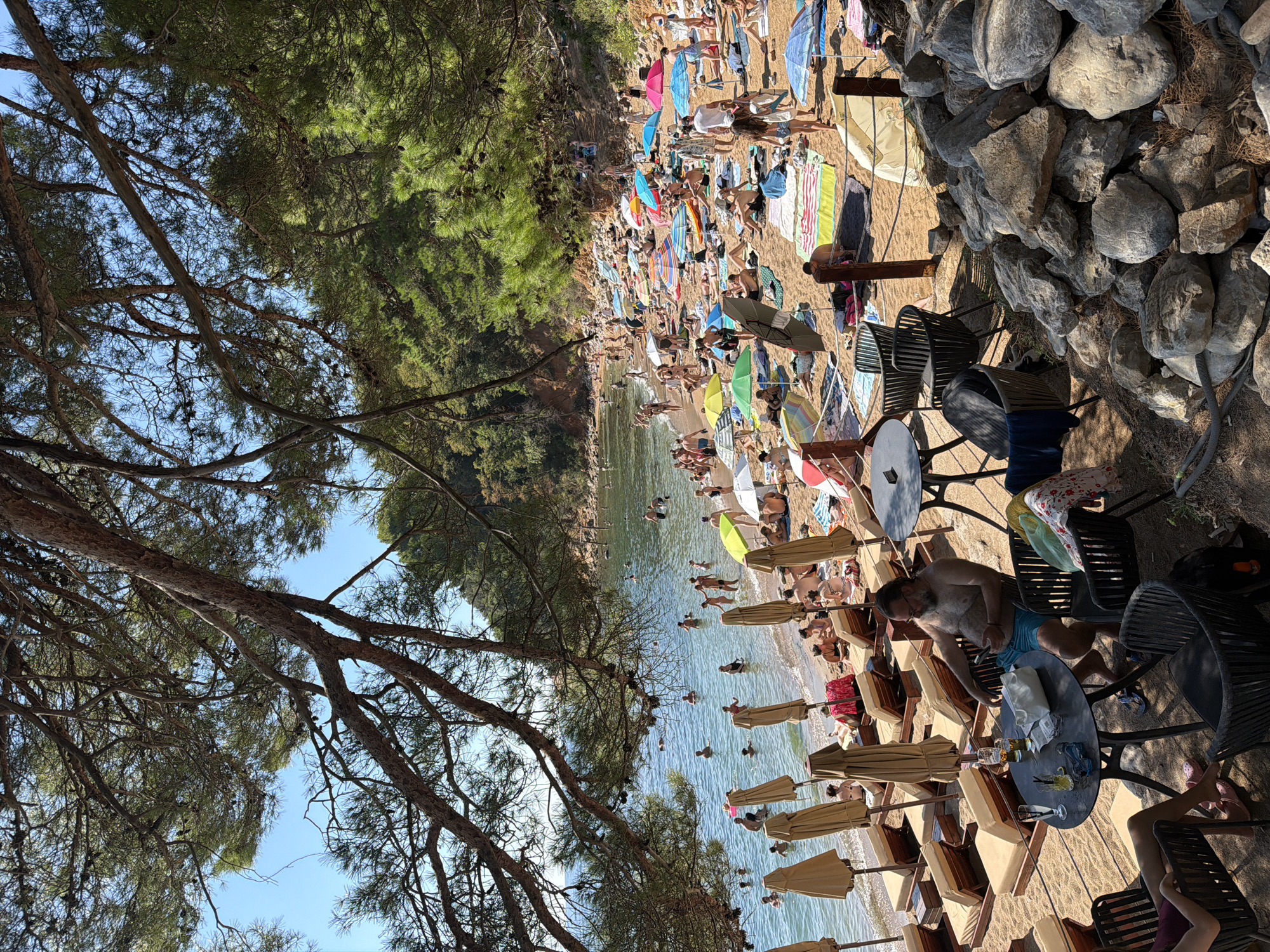 A crowded beach scene unfolds under the shade of pine trees in Budva, Montenegro. The sandy shore is dotted with numerous sunbathers lounging on towels and beach chairs, many sheltered by colorful umbrellas. The clear blue water is filled with swimmers, some wading near the shore while others venture further out. A man with a beard sits at a table on the sand, looking at his phone. Several lounge chairs and umbrellas are set up on the beach, indicating a commercial establishment. Rocks and vegetation line the background, suggesting a natural, coastal environment.