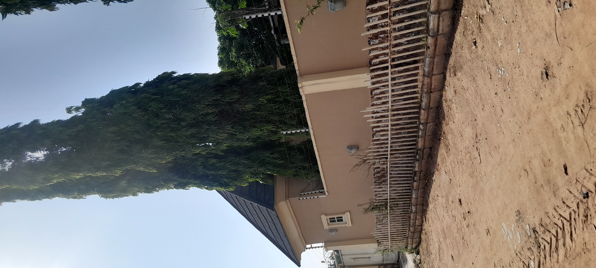 The image depicts a residential property in Jalingo, Nigeria, under a clear, bright sky. A tall, dense green tree with hanging foliage dominates the left and center of the frame, partially obscuring the sky and a portion of the building. The building has a dark, sloped roof and light brown walls. A small, white-framed window is visible on the wall. In front of the building is a tan-colored wall topped with an electric fence. A white picket fence, some sections appearing rusted or aged, runs along the base of the tan wall, bordering a dirt path in the foreground. The ground is composed of reddish-brown earth with tire tracks visible in some areas. The overall scene suggests a secured private residence in a warm, sunny environment.
