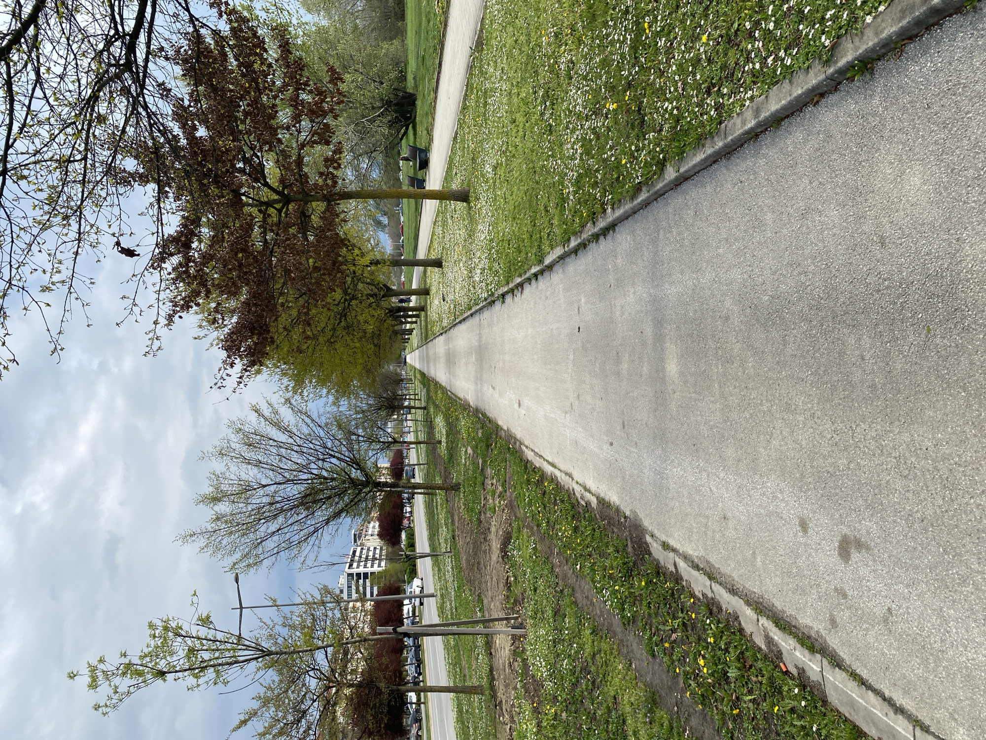 A paved walkway extends into the distance through a park or green space in Novi Sad, Serbia. The walkway is flanked by grass, trees, and some flowering plants. Some apartment buildings are visible in the distance on one side. The weather appears to be overcast. There are no people visible in the immediate foreground, but there are possible figures in the mid-ground.