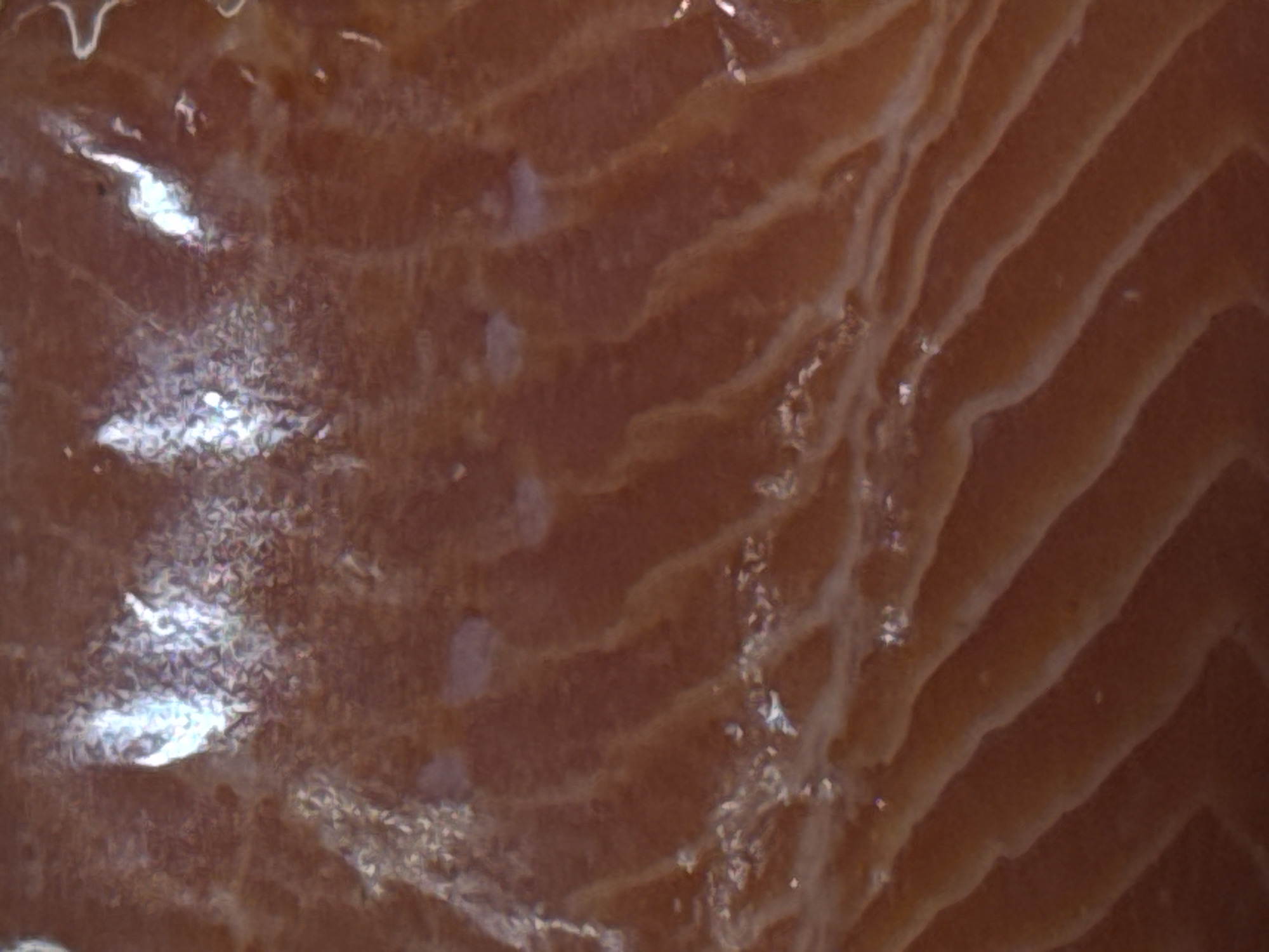 The image displays a close-up, abstract view of raw salmon flesh. The texture is characterized by the distinct, parallel lines of muscle fibers, separated by lighter connective tissue. The color palette ranges from deep reddish-brown to pale pink and white. There are areas of shimmering, iridescent highlights, likely due to the moist surface reflecting light. The overall impression is one of a detailed, macro photograph focusing on the inherent patterns and textures of the food item. There is no discernible environmental context, city, or location, including Moscow, Russia, present in this image.