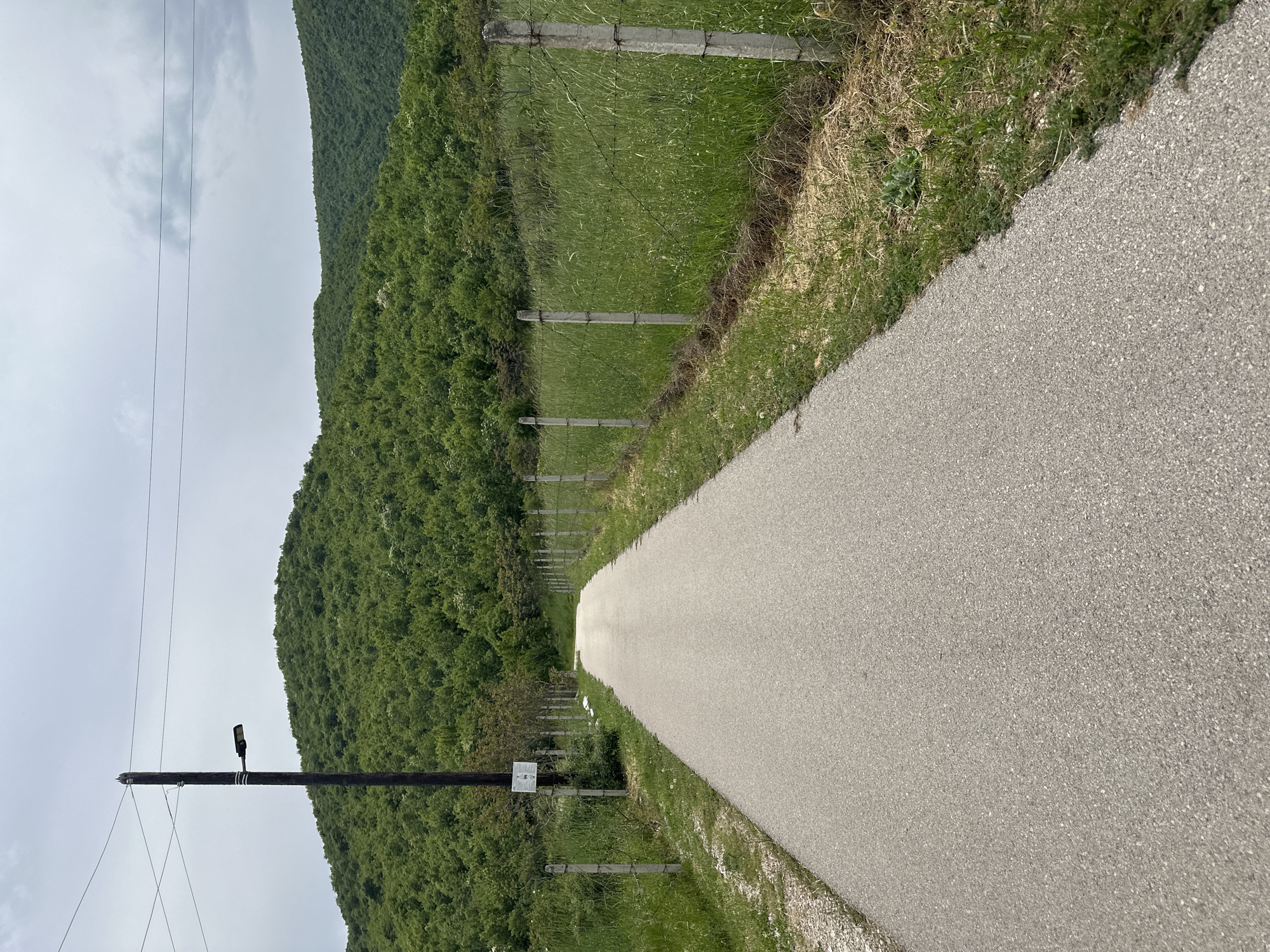 The image depicts a straight, paved road extending into the distance in the village of Gara Oreshets, Bulgaria. The road is flanked on both sides by grassy areas and barbed wire fences supported by concrete posts. To the left of the road, a forested hillside rises. A utility pole with a light fixture and accompanying power lines is visible in the lower left corner of the image. Overcast skies are present.