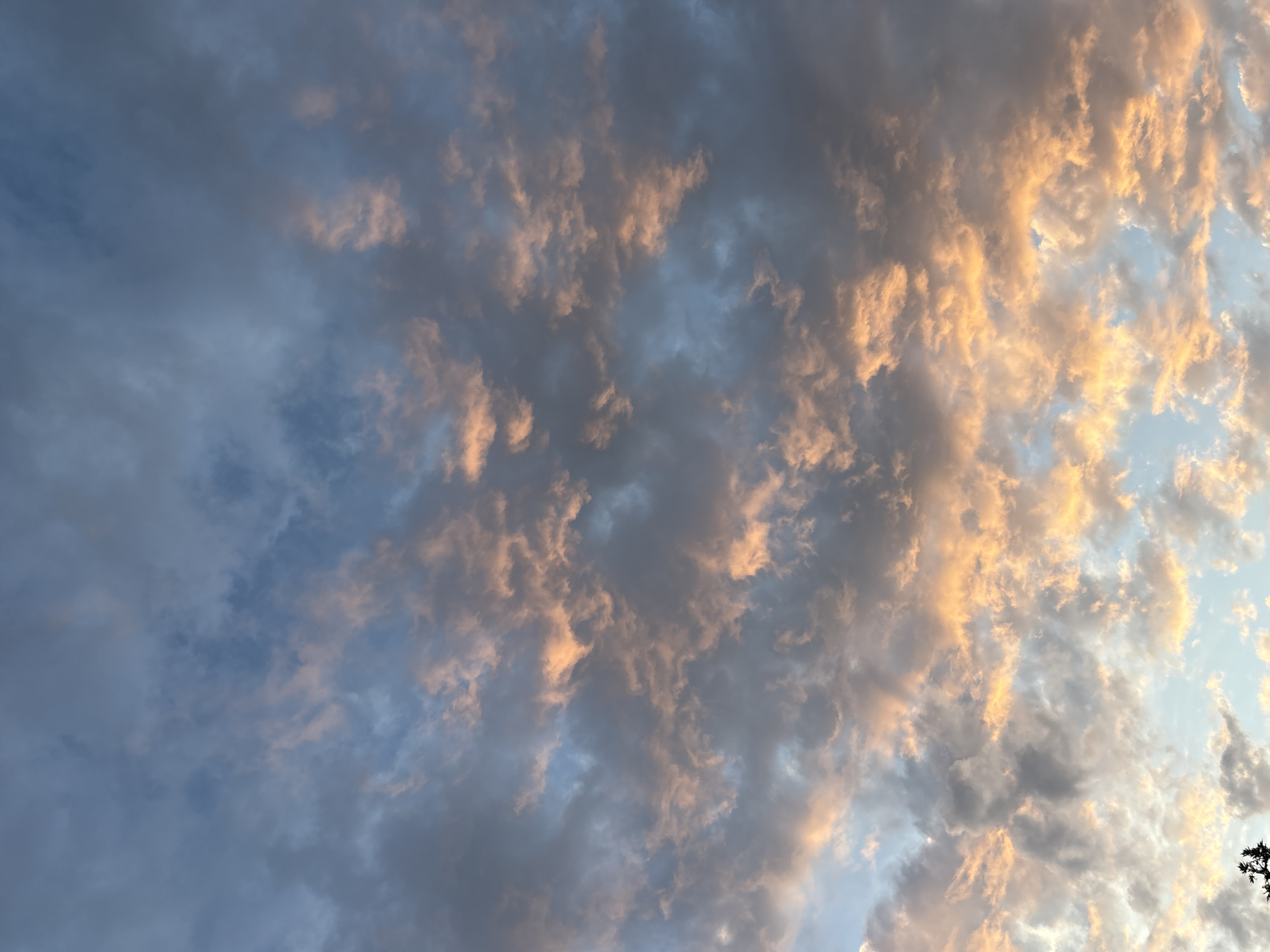 The scene depicts a partially cloudy sky, an upward-facing view, situated over Sofia, Bulgaria. The lighting conditions suggest either sunrise or sunset, casting warm, natural light onto the cloud formations.
The sky exhibits a gradient of blue hues, from a deeper, muted blue in the upper portions to lighter, clearer blue patches interspersed throughout the lower and mid-sections. A significant portion of the frame is occupied by layered and scattered cloud formations. These clouds present a varied palette: darker grey and blue-grey tones dominate the upper and left-central areas, while numerous clouds in the central and lower-right portions are illuminated with strong orange, yellow, and peach tones, particularly on their undersides and edges. Some clouds also show subtler pinkish highlights. The clouds appear to be a mix of cumulus and stratocumulus types, with distinct textures and varying densities.
In the extreme bottom-left corner of the frame, a small, dark, silhouetted cluster of tree foliage or branches is visible against the lighter sky, indicating the presence of ground-level vegetation just outside the primary view. No human subjects, animals, or other specific man-made objects are discernible within the image. The environment appears to be an open sky, suggesting an unobstructed view from a potentially elevated or open vantage point.