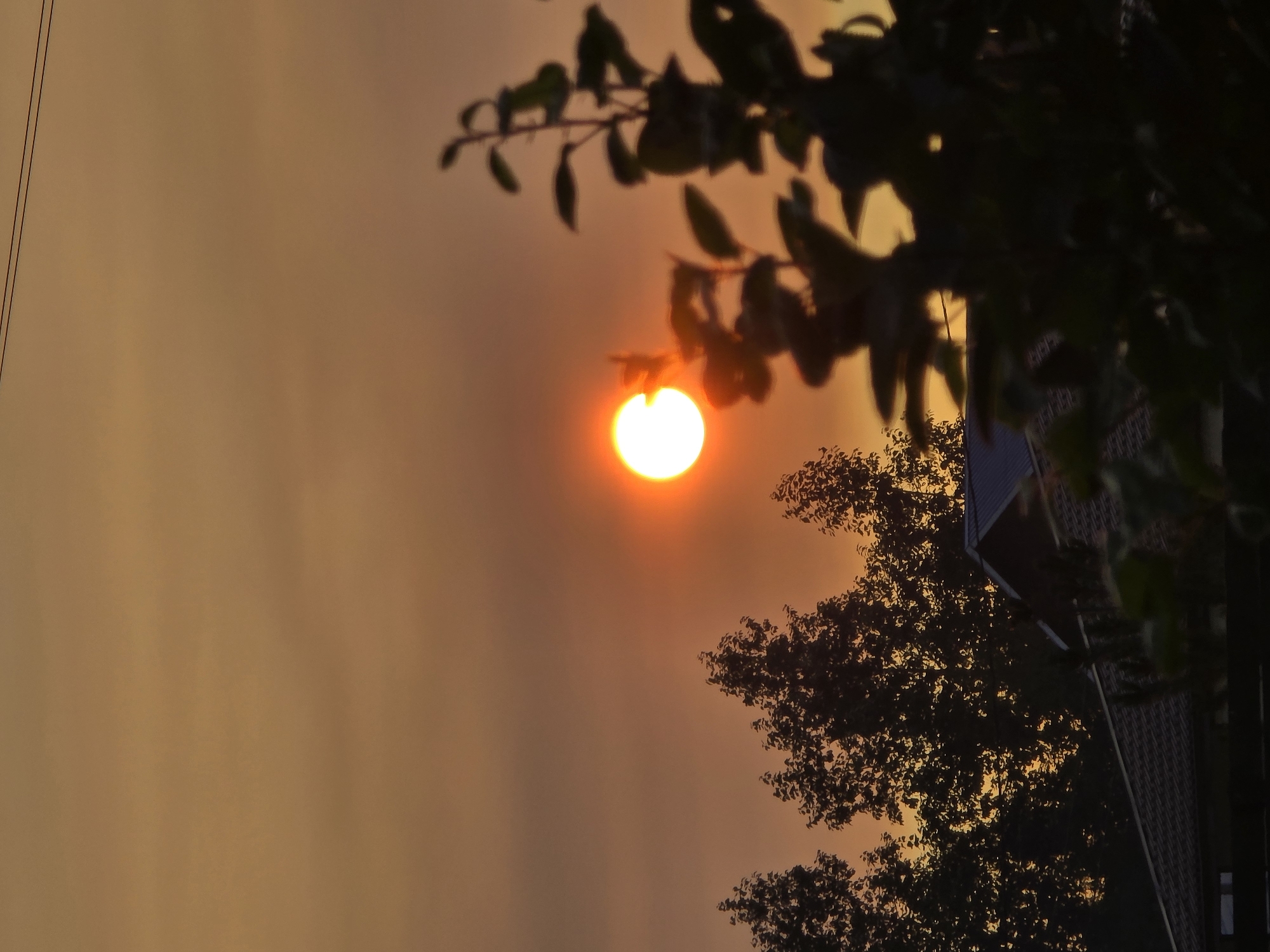 The image depicts a sunset scene in Ермолаево, Russia. The sky is filled with warm, hazy orange and yellow hues, with a bright, round sun positioned in the upper center of the frame. In the foreground, a silhouetted tree with dark leaves and branches is visible on the right side, slightly out of focus. Behind the tree, the dark silhouettes of other trees with dense foliage rise from the bottom of the frame. At the bottom of the image, portions of rooftops of houses are visible, along with dark fencing and a shadowed area suggesting a lower level of ground or a fence. A thin black wire stretches across the upper portion of the sky. No people or animals are present in the scene. The overall atmosphere is one of dusk in a semi-rural or suburban setting.