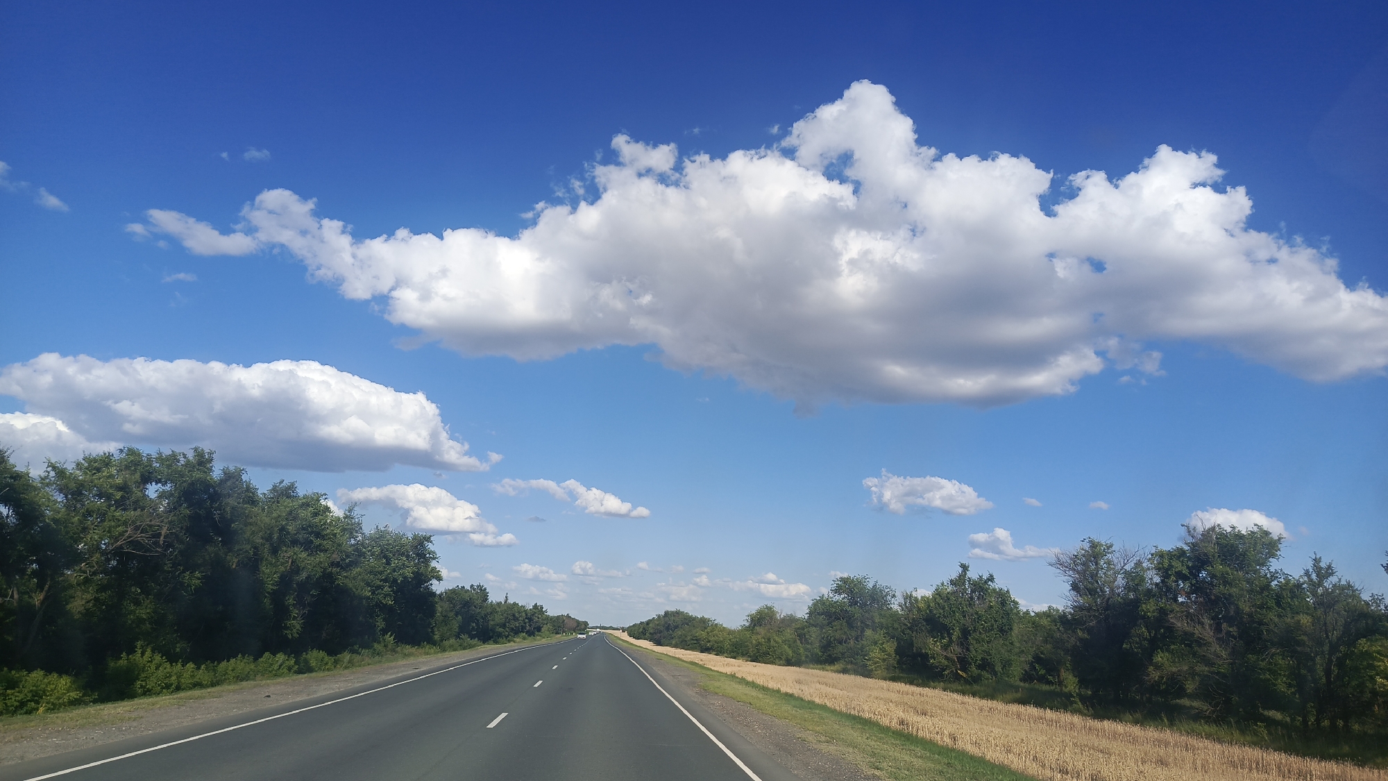 This media file depicts a scenic view of a road in Золотая Степь, Russia, under a bright blue sky dotted with fluffy white clouds. The scene appears to be a daytime shot, likely late morning or early afternoon, given the clear visibility and the intensity of the sunlight.
The primary subject is a paved road, extending into the distance and curving slightly to the right. The road has clear white lane markings, indicating it's a well-maintained route, possibly a highway or a major rural road. To the left of the road, dense green trees form a lush border, with some foliage extending over the road's edge. To the right of the road, a field of dry, golden vegetation, likely harvested crops like wheat or barley, stretches out, contrasting with the greenery on the other side. The horizon is lined with more trees and vegetation, suggesting a rural or semi-rural landscape.
The sky is a dominant feature, with large, cumulus clouds scattered across it. These clouds are voluminous and well-defined, with some casting soft shadows. The overall mood of the image is peaceful and serene, evoking a sense of journey and openness. There are no people or animals visible in the frame, and no objects beyond the natural landscape and the road. The setting is clearly outdoors, in a natural environment. There is no visible text in the image.