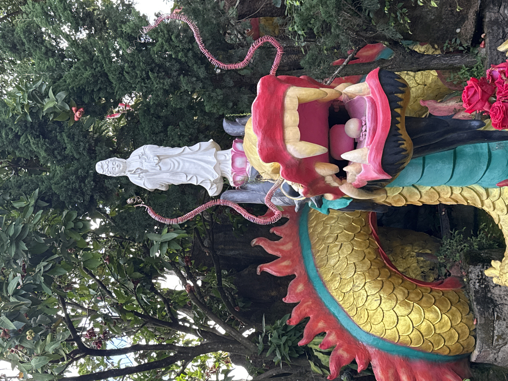 A statue of a white female figure, possibly Guanyin, stands atop a lotus flower sculpture. She is positioned in front of lush green trees and foliage, with some red fruits visible on branches. Below her, a colorful dragon sculpture dominates the foreground, with its head open, revealing pink and white details inside its mouth, and its body adorned with golden scales and red and turquoise accents. A cluster of vibrant red roses rests at the base of the dragon sculpture. The scene appears to be outdoors, in a garden or temple setting, likely in the city of Lâm Viên - Đà Lạt, Vietnam.