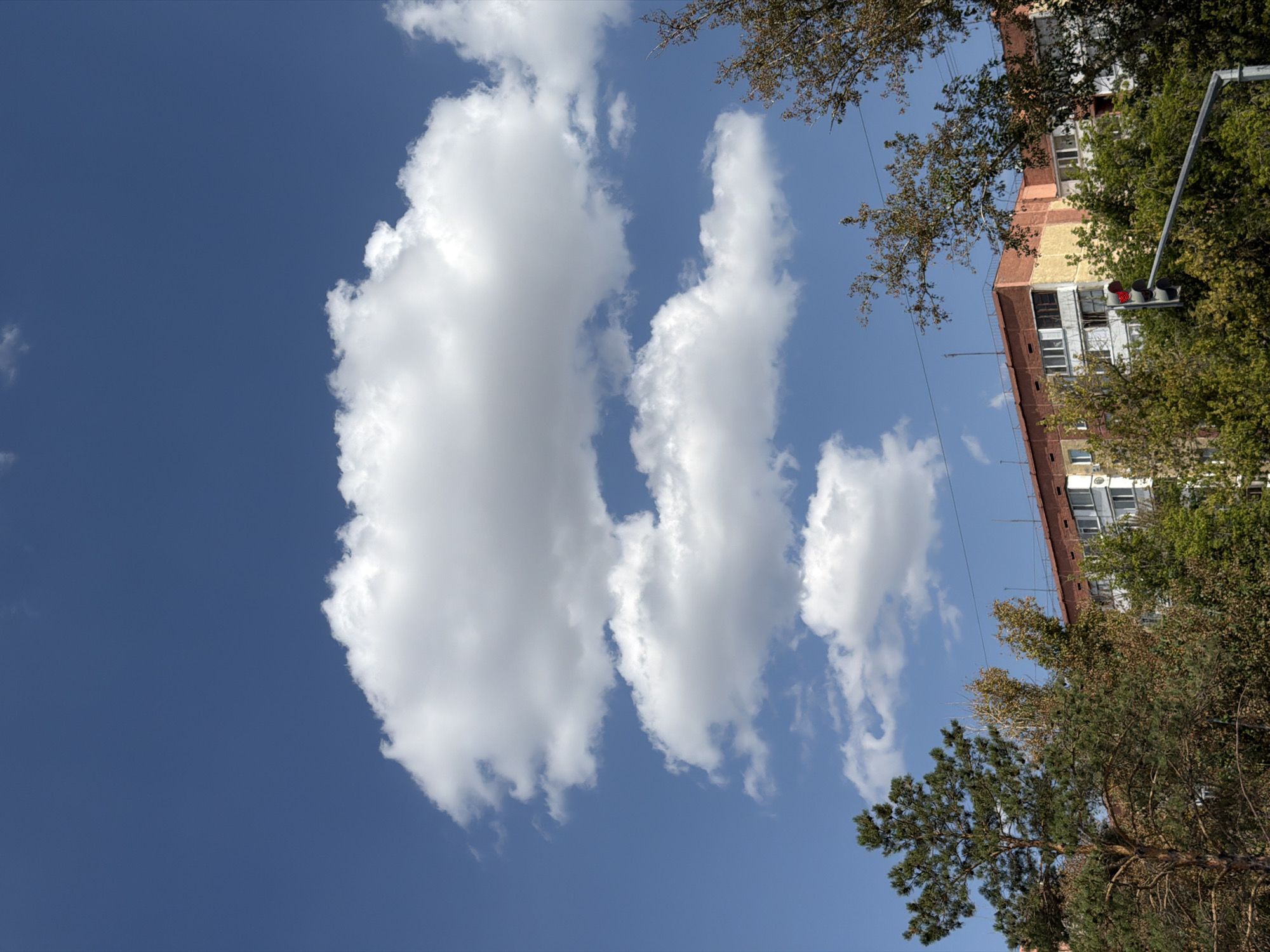 The image depicts a clear blue sky with several fluffy white clouds in the upper portion. In the middle ground, a multi-story apartment building with a red-tiled roof and light-colored facade is visible, partially obscured by trees. The building has numerous windows and balconies. To the left, a tall pine tree stands prominently, and other deciduous trees with green and some autumnal foliage are scattered throughout the scene. A traffic light with a red signal illuminated is present on the right side of the frame, positioned in front of the building and trees. Power lines are also visible crisscrossing the sky above the trees and building. The image appears to be taken from a ground-level perspective, looking slightly upwards towards the sky and the building.