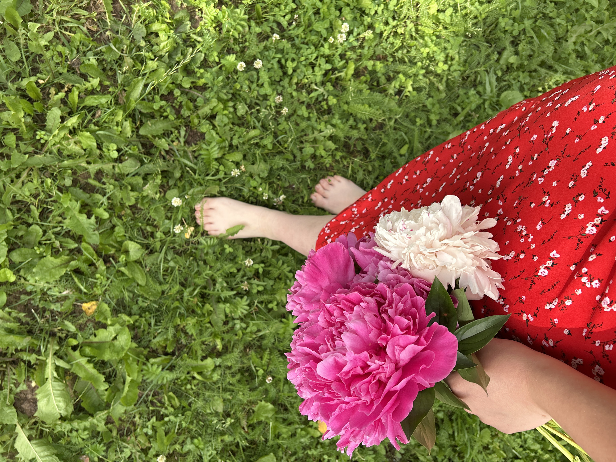 A person's bare feet are visible standing on a patch of green grass and clover. The person is wearing a red dress with a white floral pattern. In the foreground, the person's hand holds a bouquet of pink and white peonies. The scene is likely outdoors, possibly in a garden or park, in the city of Fokino, Russia, given the request for a specific location.