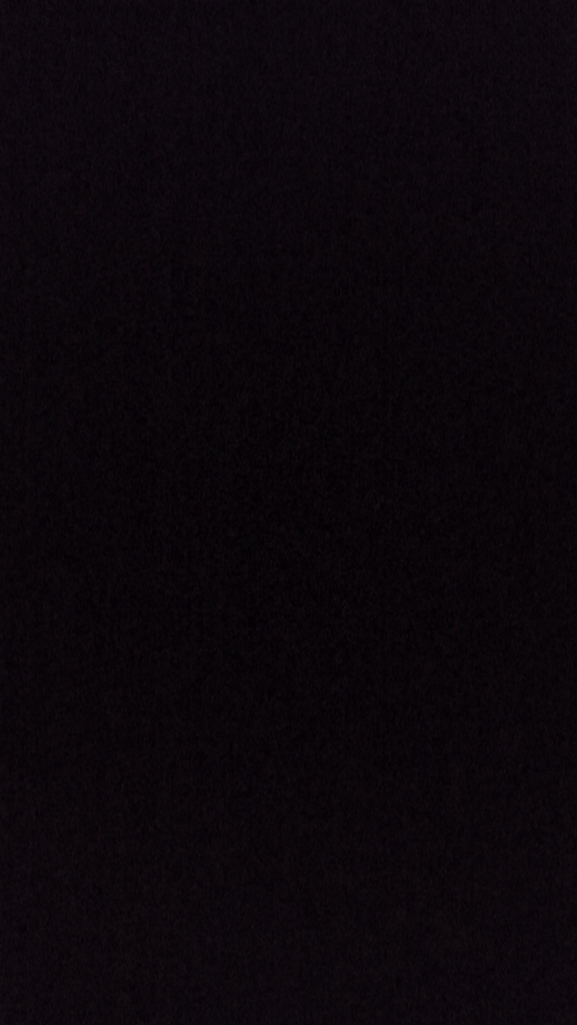 The image is completely black and contains no discernible details. It is impossible to provide any information about a location, subject, or activity.