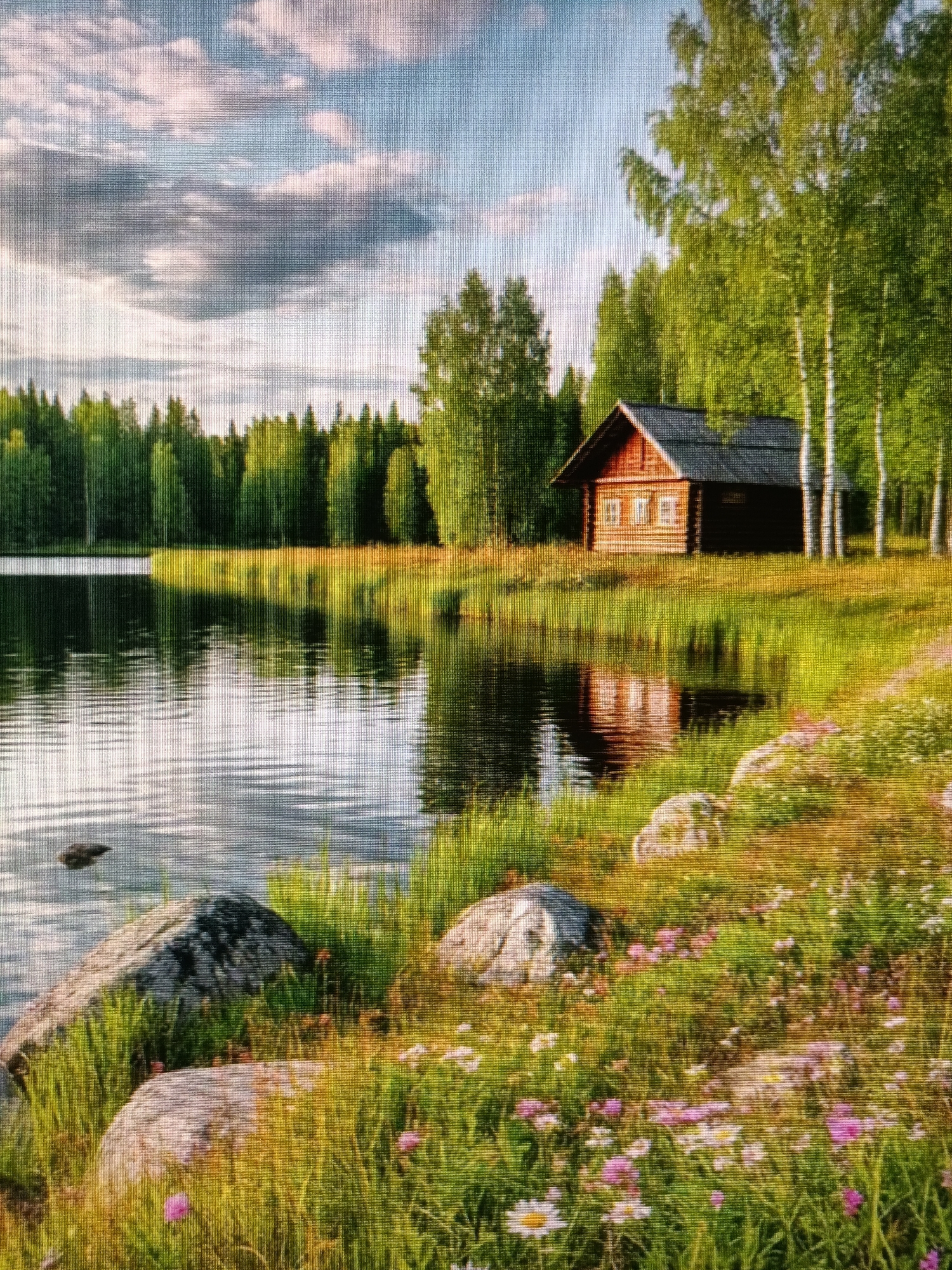 The image depicts a serene natural landscape, likely a lakeside scene in a rural or wilderness area. In the mid-ground, a small, rustic wooden cabin with a dark roof is nestled amongst a dense forest of green trees. The cabin has several windows with white frames and a visible wooden structure. To the left of the cabin and stretching across the frame is a calm body of water, reflecting the trees and the sky. The foreground is characterized by a grassy embankment dotted with wildflowers in various shades of pink and white, interspersed with large, grey rocks. The sky above is a mix of blue with scattered white and grey clouds.
The question asks for the location in the city of Nyagan, Russia. Without any identifying landmarks or specific details in the image that would pinpoint it to Nyagan, or any information connecting this image to that specific city, it is impossible to provide a description that includes this location. The scene is a generic representation of a natural environment and lacks any distinctive features of an urban or even specific rural setting within Nyagan.