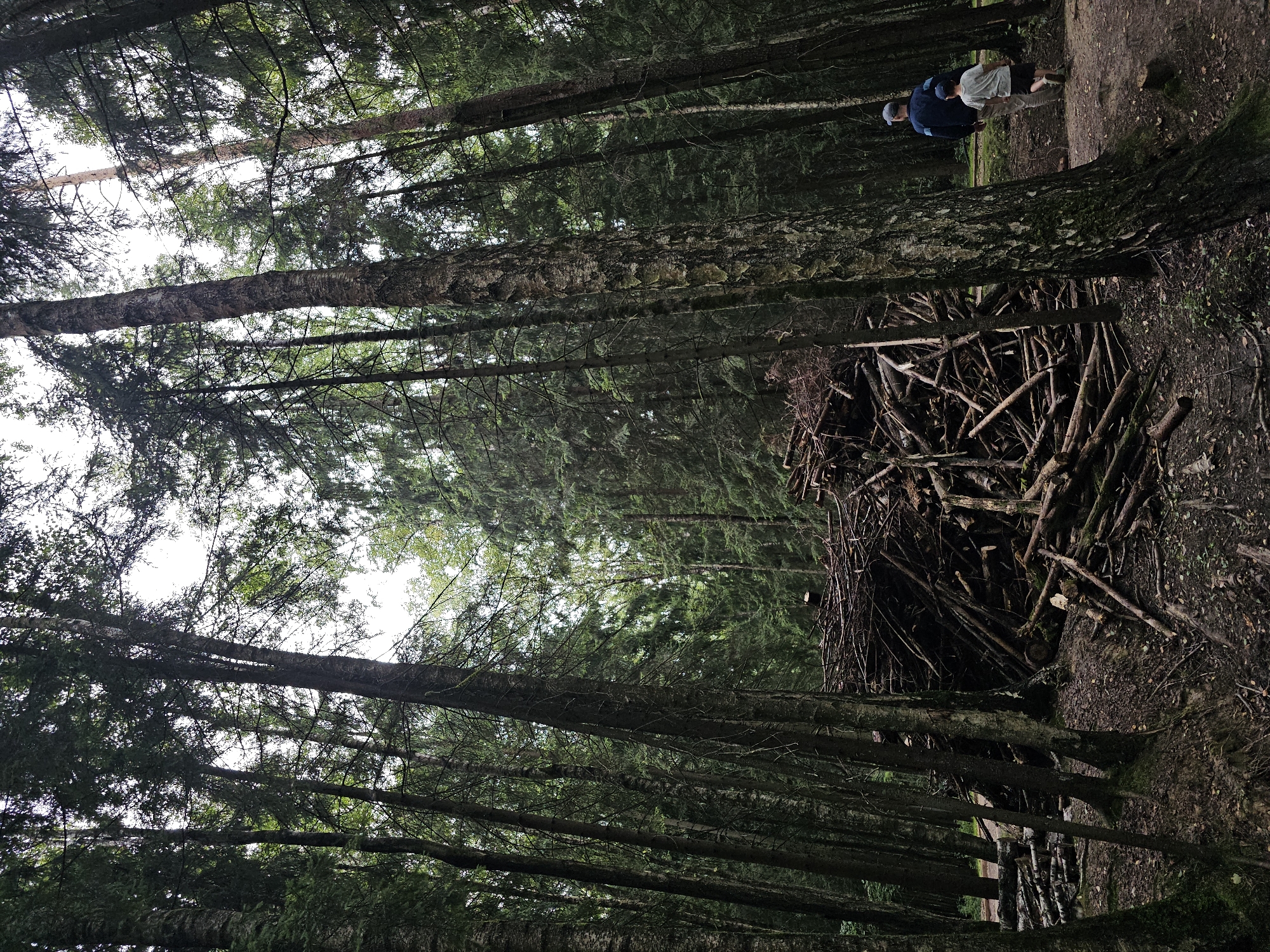 In Odintsovo, Russia, a dense forest scene unfolds. Two individuals, a man and a boy, walk away from the camera on a dirt path. The man wears a blue and black jacket and a grey baseball cap. The boy is dressed in a grey t-shirt and dark shorts. To their left, a massive, untidy pile of logs and branches dominates the frame. The forest floor is covered in leaf litter and scattered twigs. Tall, slender trees with dark bark and green foliage tower over the scene, their branches reaching towards an overcast sky. The lighting is diffused, indicating a cloudy day.