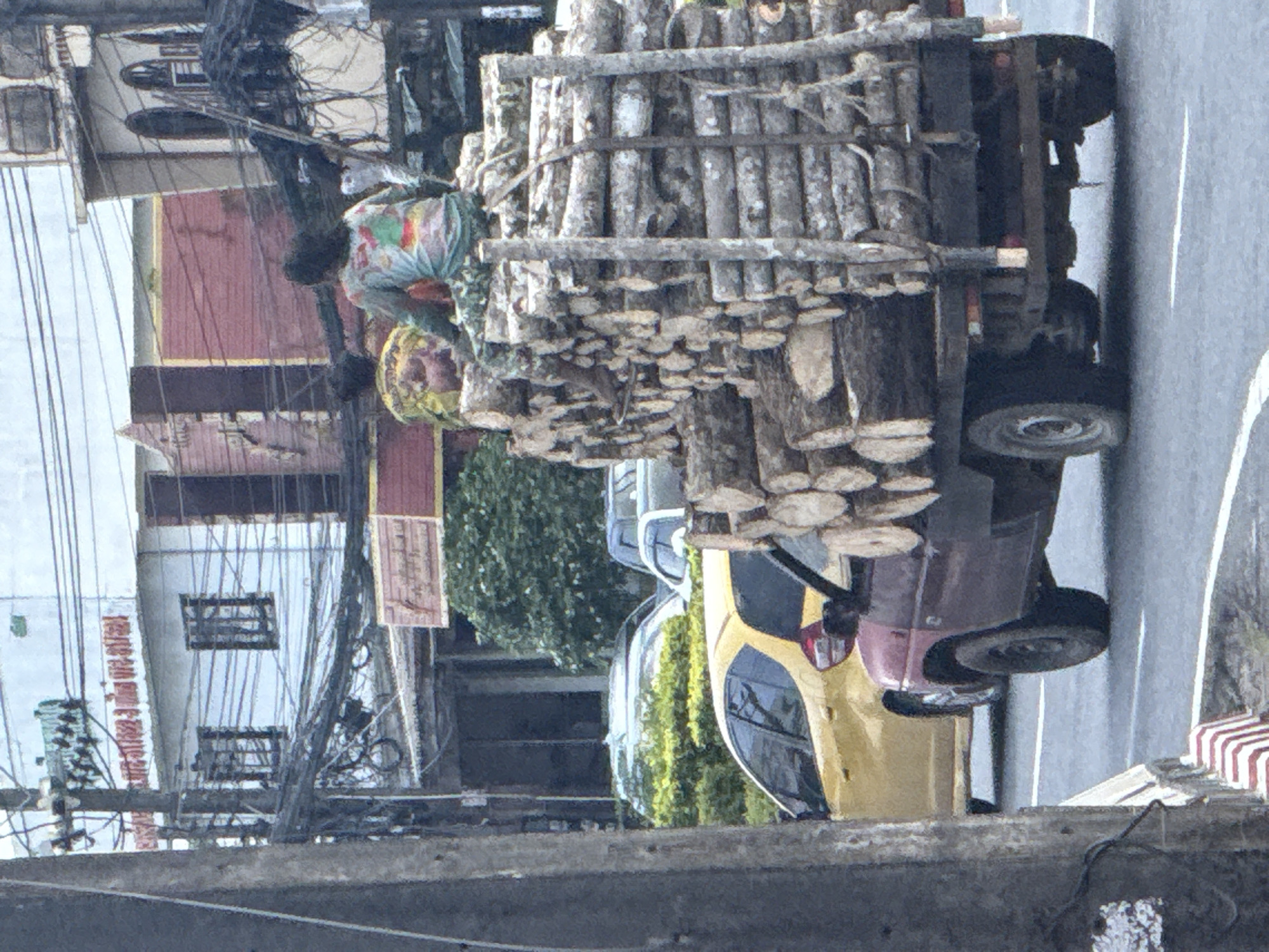 The image depicts a street scene in Si Sunthon, Thailand, with a truck loaded with logs prominent in the foreground. Two individuals are seated atop the logs. The truck is a dark reddish-purple color. Behind the truck, a yellow car is visible. Several other vehicles, including a silver car, are partially obscured by foliage. The background shows buildings with signs, utility poles with numerous wires, and lush green trees. The sky is overcast.