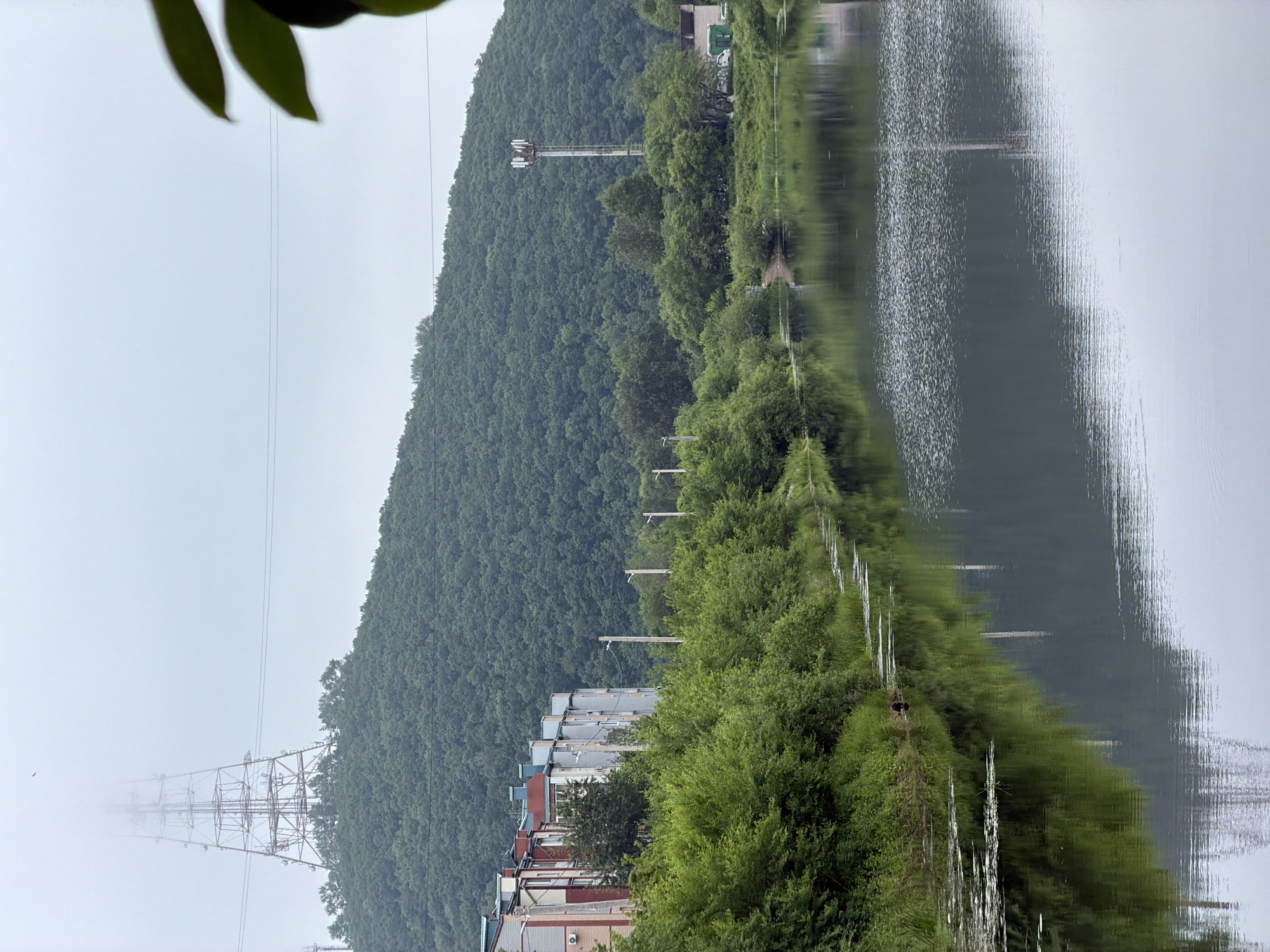 The image shows a landscape scene, possibly in Birobidzhan, Russia. The primary subjects are a lush green hillside covered in trees, a calm body of water reflecting the scenery, and a row of buildings along the water's edge. A tall electrical pylon with multiple crossbars and lights is visible on the hillside, and another, larger, lattice-style pylon is partially obscured by fog in the distance. Dense trees line the bank of the water, creating a distinct border between the land and the water. The reflection in the water is clear, mirroring the trees and the sky. The sky appears overcast, suggesting a cloudy or foggy day, and the overall mood is serene and natural, with a touch of industrial presence from the pylons. The time of day is not explicitly discernible due to the overcast conditions, but the gentle light suggests daytime. There is no discernible text in the image.