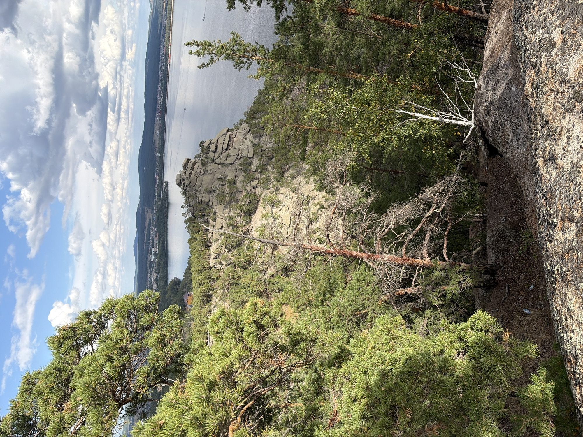 A high-angle, full shot captures a natural landscape with a body of water, mountains, and trees. In the foreground, a large pine tree with green needles dominates the left side of the frame, its branches extending towards the viewer. To the right of the pine, a barren, pale tree with thin branches stands out against the darker foliage. Further into the mid-ground, a rocky outcrop juts out, covered in sparse vegetation. Beyond the rocky formation, a wide expanse of water, likely a lake or river, stretches into the distance. On the far side of the water, a town or settlement with buildings is visible, backed by rolling, forested hills and mountains under a sky filled with scattered white and gray clouds. The scene appears to be situated in the Зелёный Бор ауылдық округі, Kazakhstan, suggesting a remote or natural setting. There are no people or animals present in the image. The overall lighting indicates it is daytime, with sunlight casting shadows and highlighting the textures of the landscape.