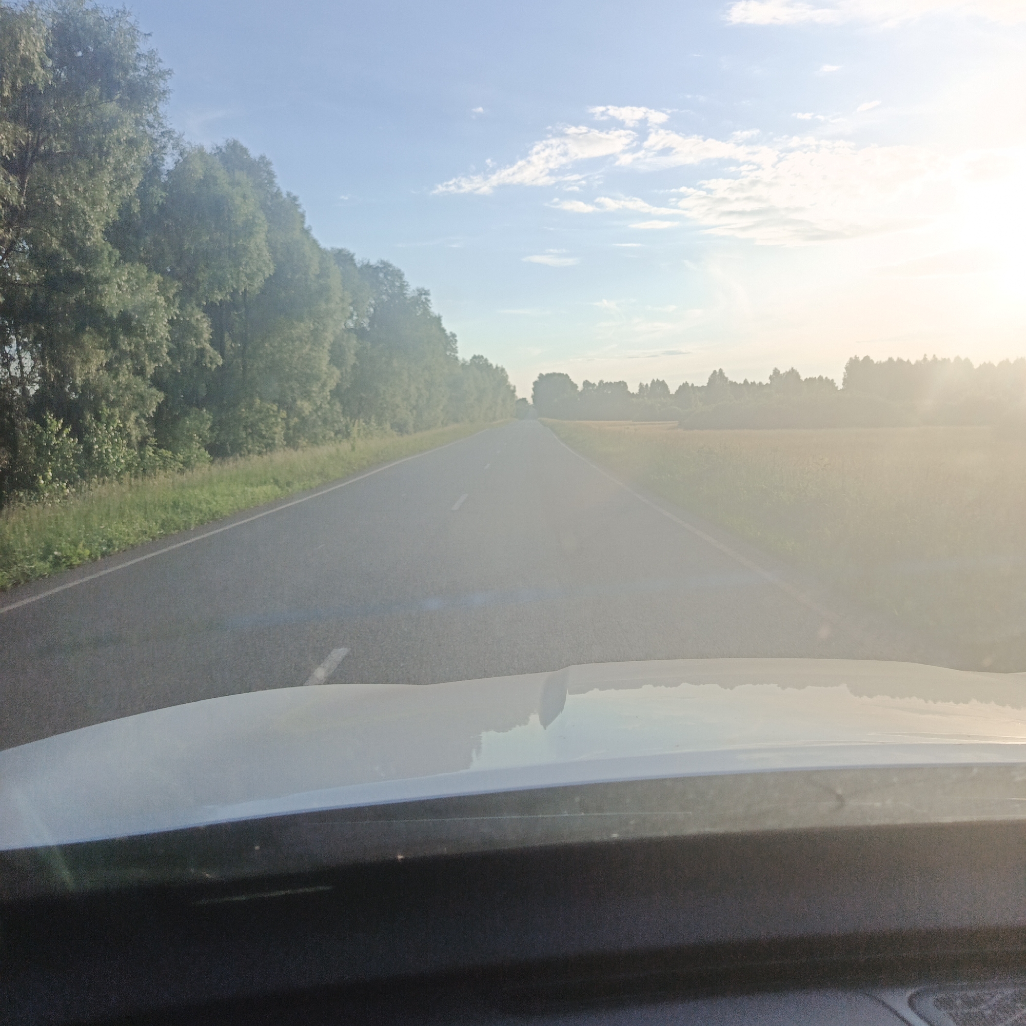 The image shows a view from the driver's seat of a car, looking out at a road stretching into the distance. The road is asphalt and has white markings. On the left side of the road, there is a dense line of trees. On the right side of the road, there is a field with vegetation. The sky is blue with some white clouds, and the sun is shining brightly, creating a lens flare effect in the upper right portion of the image. The hood of the car is visible in the foreground. The scene appears to be set in a rural area. The image does not contain any people or specific city landmarks that would allow for the identification of the location as Orlovka, Russia.
