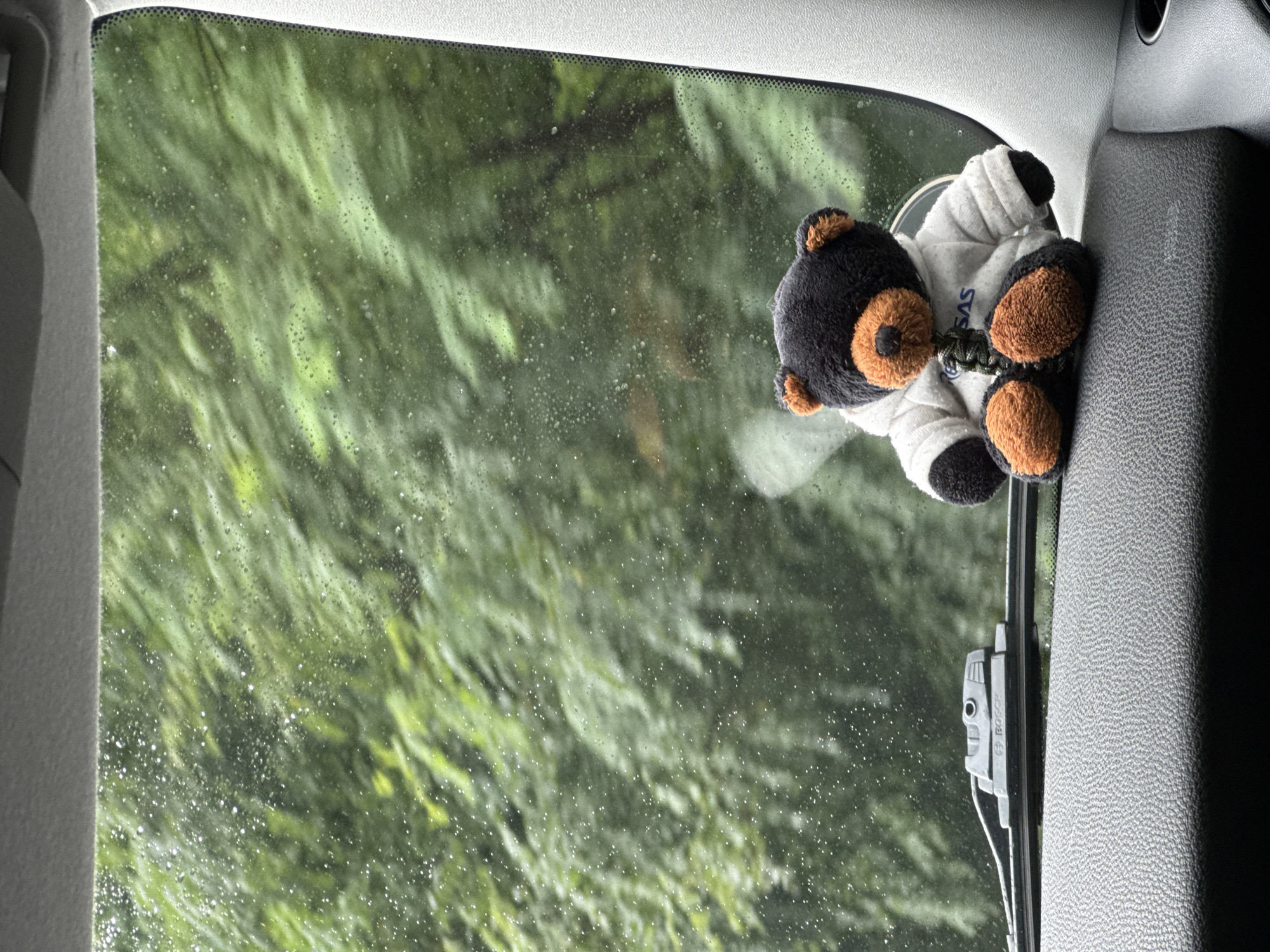 A plush teddy bear sits on the dashboard of a vehicle, facing forward. The bear is black with brown accents on its ears and paws, wearing a white hoodie with "SAS" printed on it. The windshield of the vehicle is visible, with raindrops distorting the view of lush green trees and foliage outside. A windshield wiper is positioned on the lower left side of the windshield. The interior of the vehicle is also partially visible, with a textured dashboard and a section of the car's interior pillar on the right. The lighting suggests an overcast or rainy day.