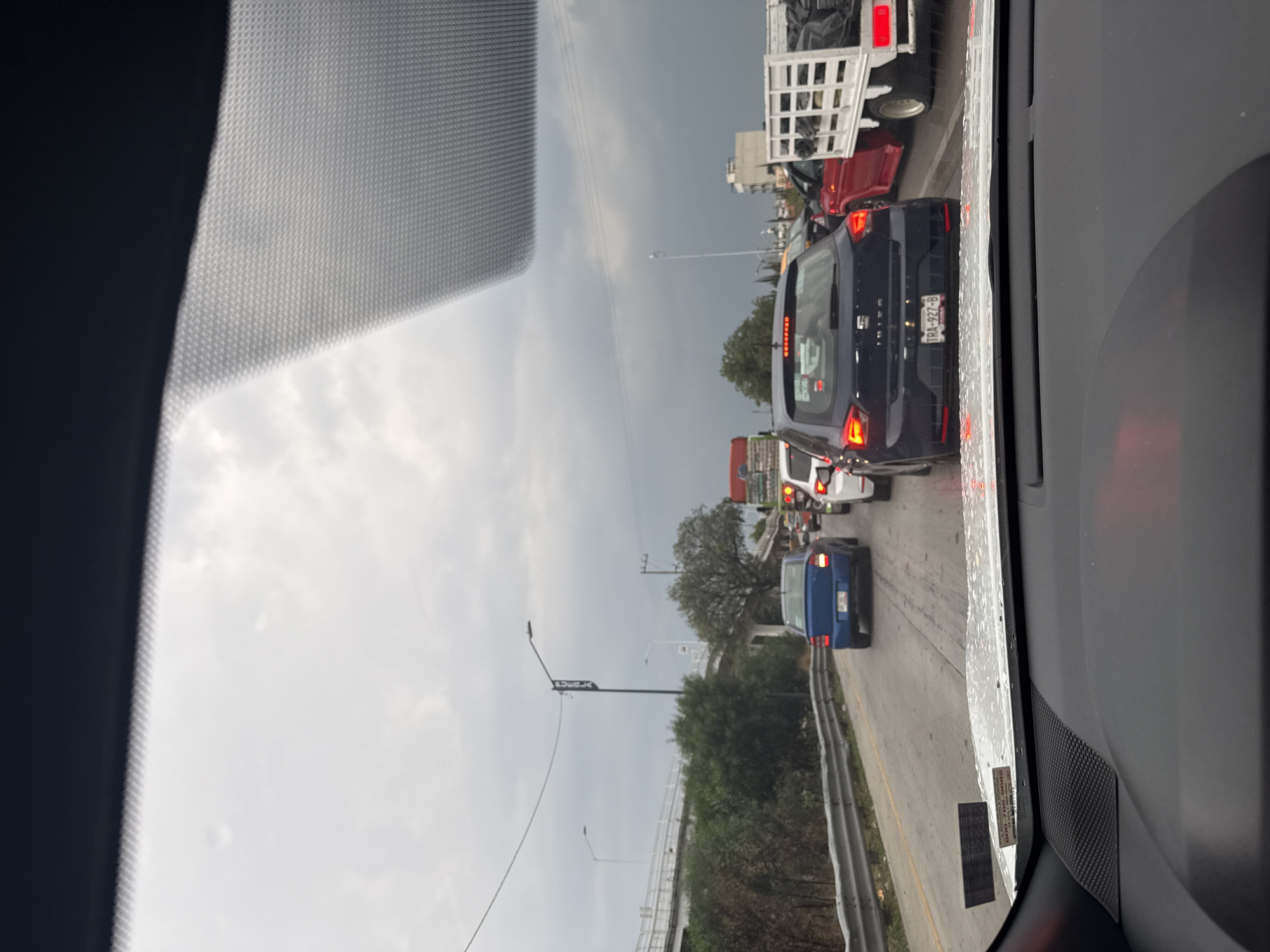 The image shows a view from inside a car in San Bernardino Tlaxcalancingo, Mexico, looking out onto a traffic jam on a road. The sky is overcast. Several vehicles are visible, including a blue car, a white truck with a cage-like structure, a dark blue SEAT car with license plate TRA-927-B, and a white vehicle. Streetlights are present. The area alongside the road has vegetation and a guardrail.