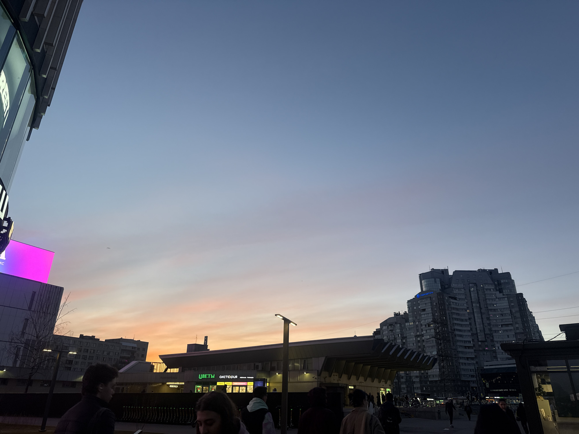 This image captures an urban street scene in Saint Petersburg, Russia, at dusk or early evening. The sky displays a beautiful gradient, shifting from a deep blue at the zenith to soft orange and pink hues near the horizon, indicative of a sunset. The weather appears clear with no prominent clouds.
Numerous people are visible walking throughout the scene, suggesting an active urban environment. Their faces are often obscured or in shadow, reflecting the low light conditions.
On the far left, a modern building is partially seen, featuring a large, illuminated sign with partially visible white text, which appears to include "РЕЕ" or "REE". Below it, a bright magenta screen adds a splash of color. In the middle ground, a long, low-rise building, possibly a public transport station or commercial strip, features several storefronts. Prominent Cyrillic signs on this building read "ЦВЕТЫ" (Flowers) and "АКФОРИЯ" (Akforiya), with other smaller, less legible texts below. A tall, modern streetlamp stands near the center of the frame, illuminating the area.
To the right, a large, multi-story residential building with a distinctive, somewhat irregular architectural design dominates the skyline. Near the top of this building, faint blue Cyrillic text reads "РУССДЕВЕЛОПМЕНТ" (Russdevelopment). Overhead power lines or tram wires are visible against the sky in front of this building. The overall scene depicts the everyday flow of city life under the serene colors of twilight.