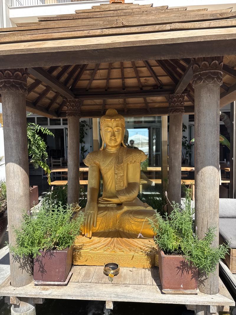 A golden Buddha statue is centrally positioned under a rustic wooden gazebo in an outdoor setting. The Buddha is depicted in a meditative pose, with intricate details on its robe and an elaborate base. Its surface gleams brightly under direct sunlight, indicating a sunny day.
The gazebo is constructed from dark, aged wood, featuring carved floral or lotus motifs on its four support pillars. The roof is slatted, creating patterns of light and shadow on the ground below. On the wooden platform where the statue rests, two potted plants, appearing to be rosemary or lavender, flank the Buddha. In front of the statue, a small, dark dish, possibly an offering bowl containing coins or small items, is visible. The wooden platform extends over a dark, reflective surface, suggesting it is built over water or a pond.
In the background, a modern building with large glass doors and windows is seen, reflecting the bright sky and a faint, distorted human figure. Interior furniture, possibly tables and chairs, can be glimpsed through the glass. To the right of the Buddha, part of an outdoor sofa or lounge area is also visible. The strong shadows cast by the gazebo and plants indicate bright daylight, likely midday or early afternoon.
The scene conveys a serene and tranquil atmosphere, suggesting a decorative feature in a leisure or hospitality setting, such as a resort or restaurant in Sant Antoni de Portmany, Spain, with an influence of Asian-inspired design. There is no visible text in the image.