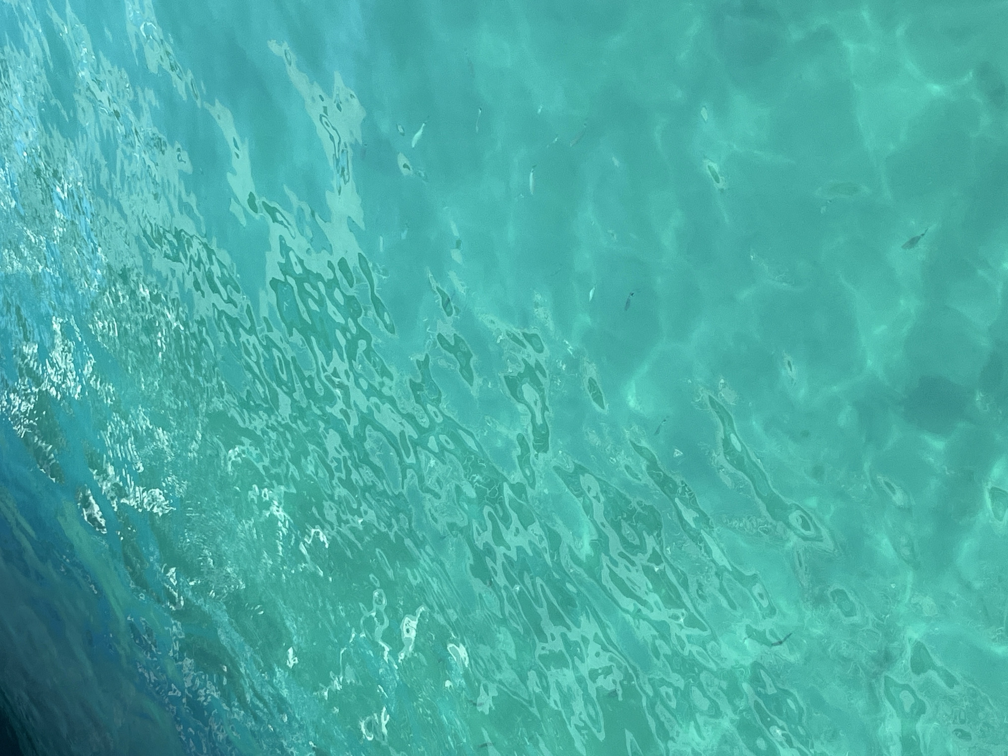 This is a top-down, medium shot of clear, turquoise water in the Aegean Sea, likely near the coast of Thassos, Greece. The water is slightly rippled, with sunlight creating patterns on the surface and illuminating the sandy bottom below. Several small, silvery fish are visible swimming in the water, appearing as small, dark shapes against the lighter sand. The scene is serene and conveys a sense of natural beauty and tranquility. The image does not depict any people or man-made structures, focusing solely on the aquatic environment.