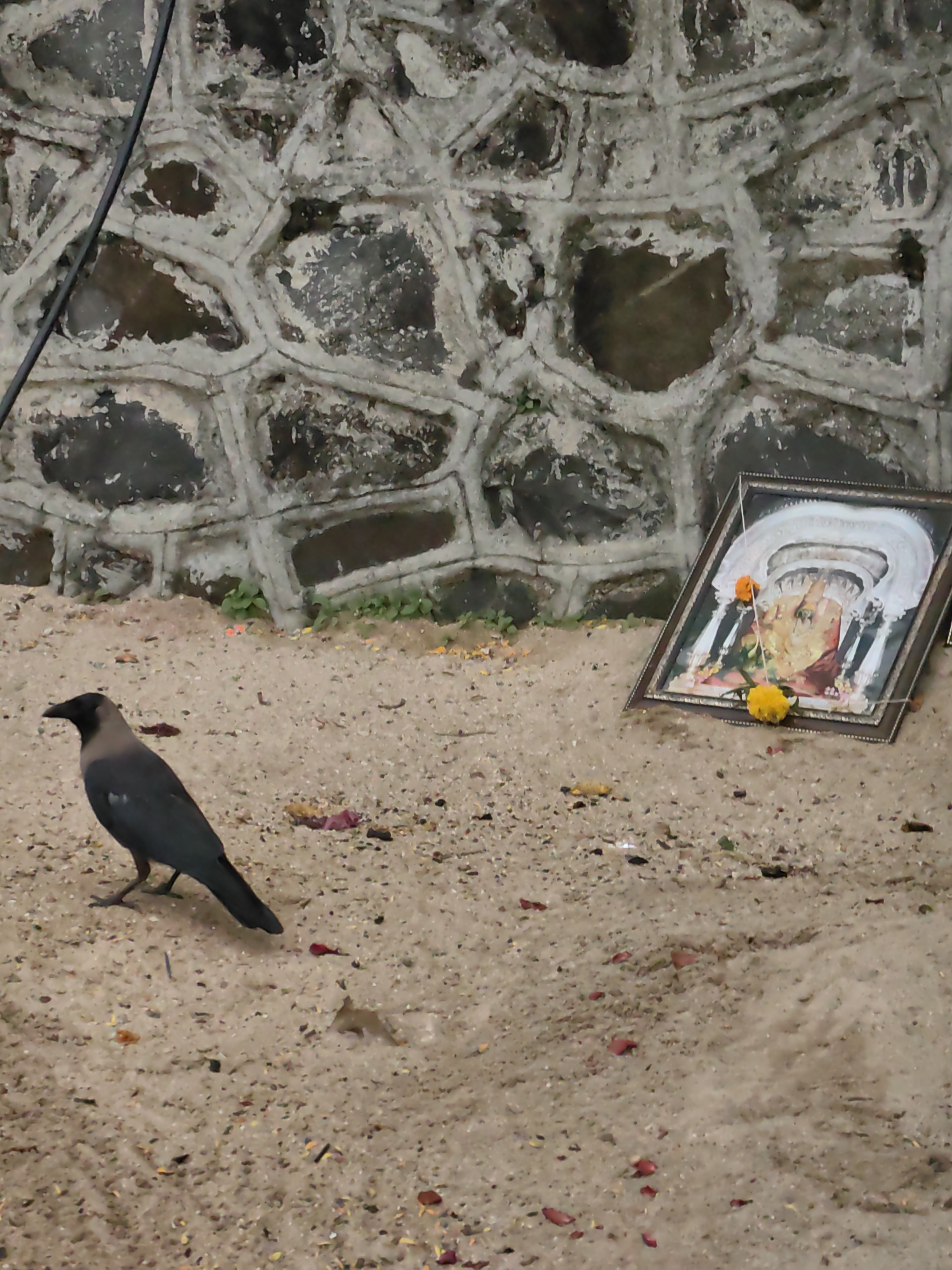 A crow stands on sandy ground in front of a textured stone wall. To the right, a framed picture, likely of a deity, is propped up and adorned with two yellow flowers and a white string. The ground is scattered with small red and yellow petals and debris. A black cable runs diagonally from the top left corner down the wall. The scene appears to be an outdoor area in Mumbai, India.