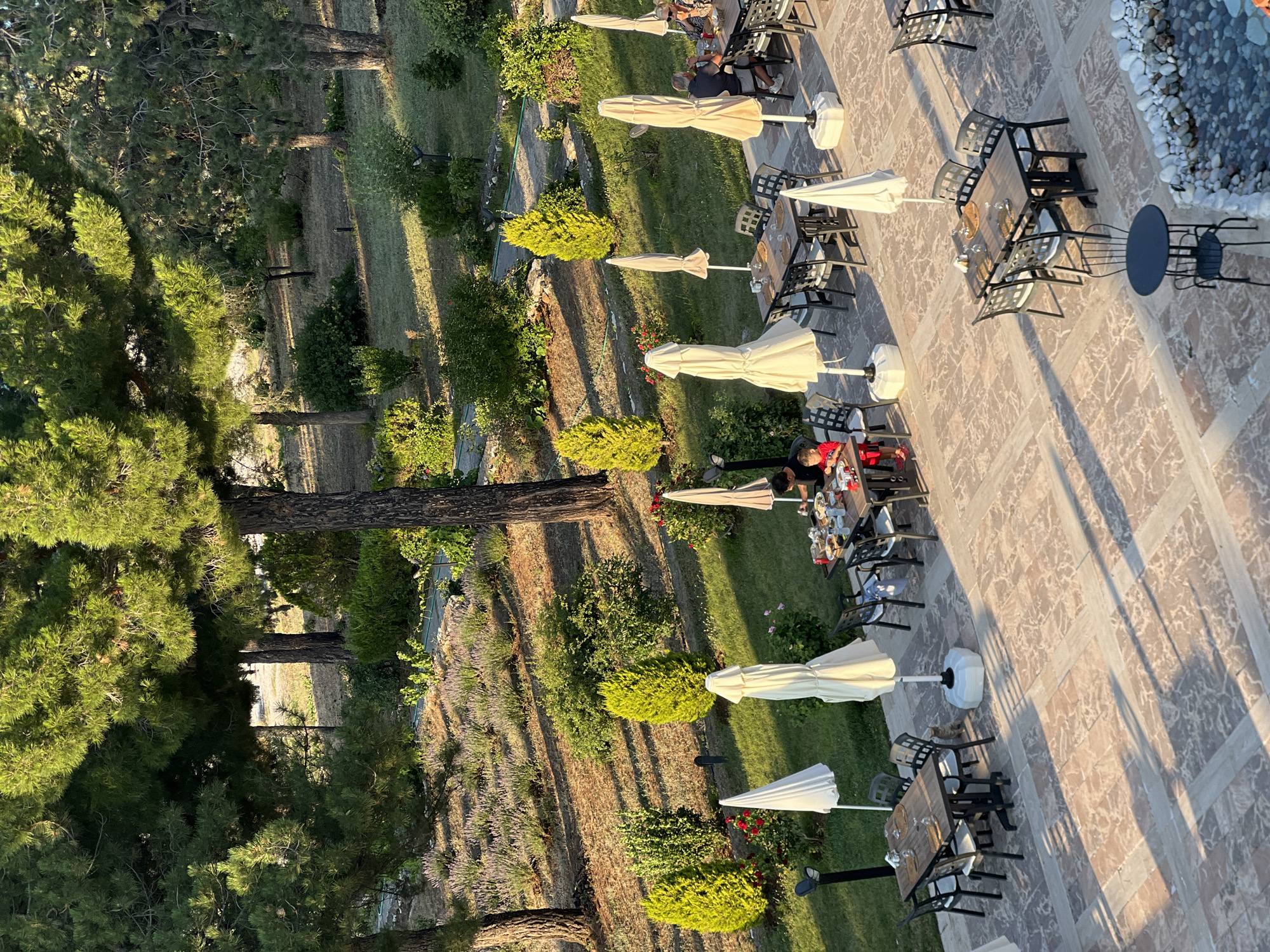 The image depicts an outdoor dining area in Yeşilova, Turkey, bathed in the warm, late afternoon sunlight. The scene is set on a stone-tiled patio surrounded by lush greenery and tall pine trees. Several tables with chairs are arranged on the patio, some set for dining and others empty. White umbrellas are positioned around the tables, providing shade.
In the foreground, a group of people are seated at a table, engaged in a meal. One individual, a child wearing a red shirt, is actively eating. Another table is set but unoccupied, with shadows from the trees casting long stripes across the stone. Further back, another table is occupied by two adults, a man and a woman, also dining.
The environment is a well-maintained garden or resort setting. Beyond the patio, a sloping lawn is visible, dotted with decorative plants, including lavender bushes. The shadows indicate the sun is low in the sky, casting a golden hue over the landscape. The overall impression is one of a peaceful and inviting outdoor dining experience.