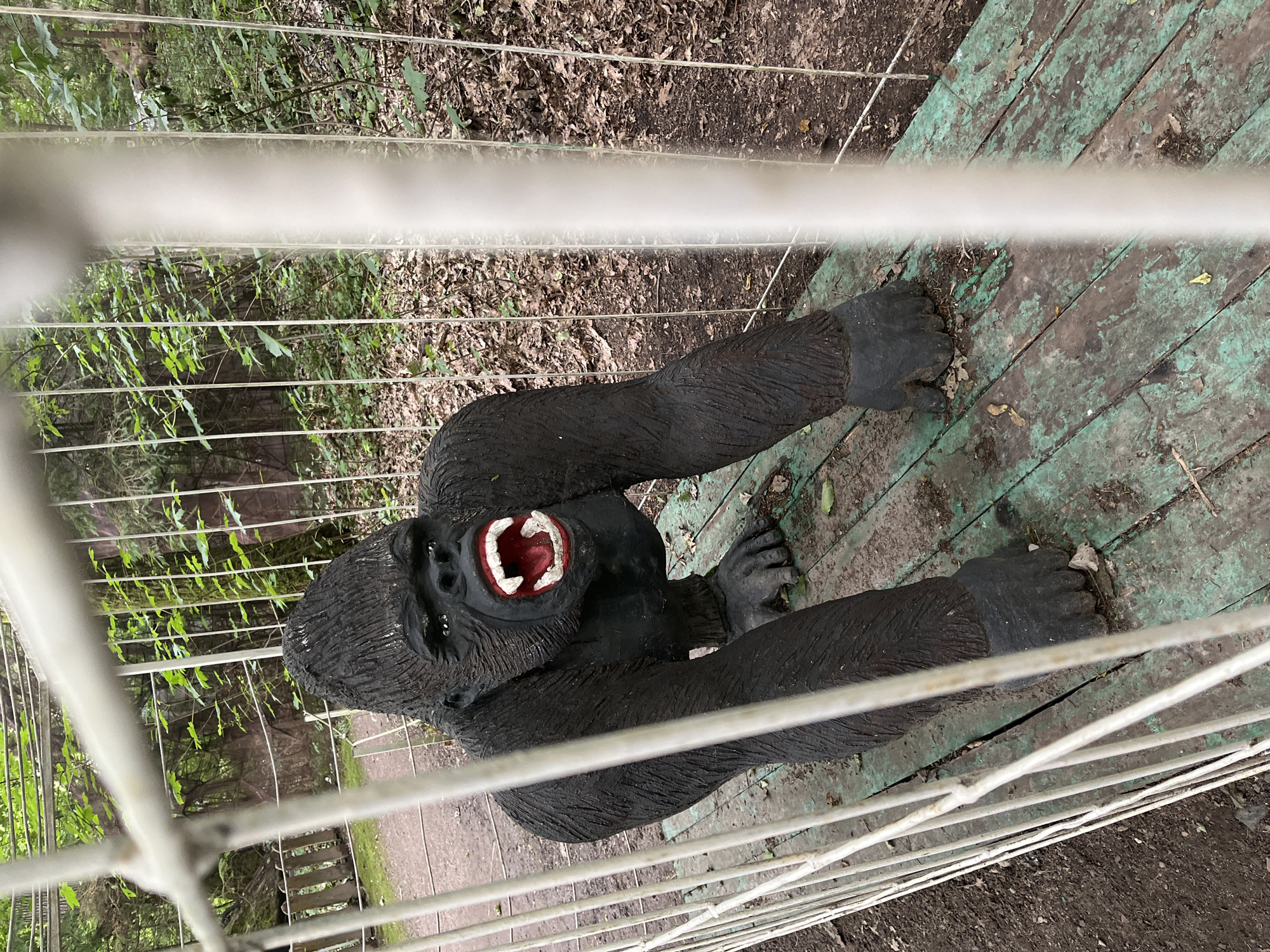 The image shows a life-sized gorilla sculpture in an outdoor enclosure, likely at an amusement park or zoo. The sculpture is dark gray with black fur texture, and its mouth is open revealing red gums and white teeth. The gorilla is positioned on a weathered wooden platform painted green, which is surrounded by a white metal fence. In the background, there are trees and foliage, suggesting a forest or park setting. The overall scene appears to be located in Svetlogorsk, Russia.