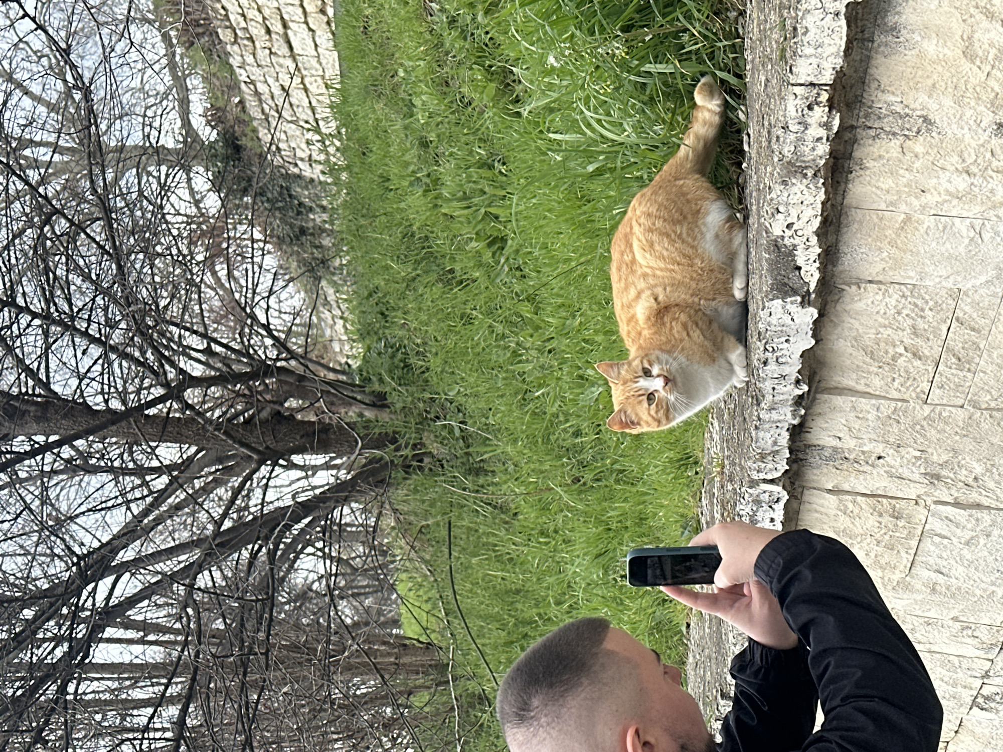 A man is taking a photo of an orange and white cat. The man is wearing a black jacket and has a shaved head. He is holding a dark-colored smartphone to take the photo. The cat is lying on a stone wall next to green grass. Bare trees are visible in the background. The location is likely Varna, Bulgaria.
