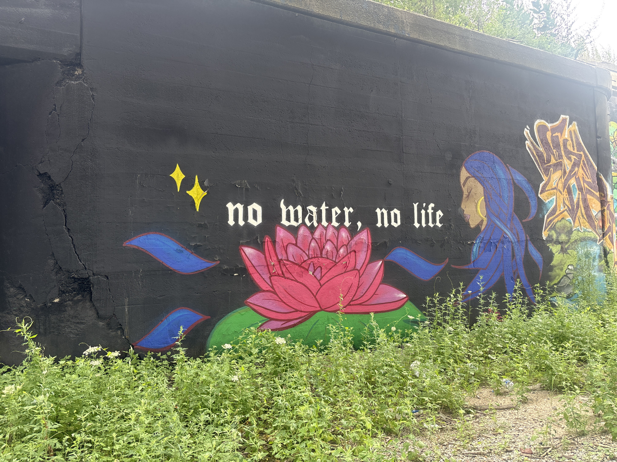 The image shows a black concrete wall with a mural painted on it. The mural features the text "no water, no life" in white, gothic-style font. To the left of the text are two yellow stars. In the center of the mural is a large pink lotus flower with green leaves. To the right of the lotus flower is a depiction of a person with blue hair and skin, wearing a yellow hoop earring, and facing to the left. Further to the right, there is abstract graffiti in shades of yellow, orange, and brown. The wall appears weathered, with cracks and some peeling paint. In front of the wall, there is a dense growth of green plants and weeds, with some small white flowers visible. The ground in front of the plants is sandy and covered with small stones and debris, including some plastic bottles. The top of the wall is lined with concrete, and green foliage is visible above it, suggesting an outdoor urban environment. The specific location within Chicago, USA, is not identifiable from the image.