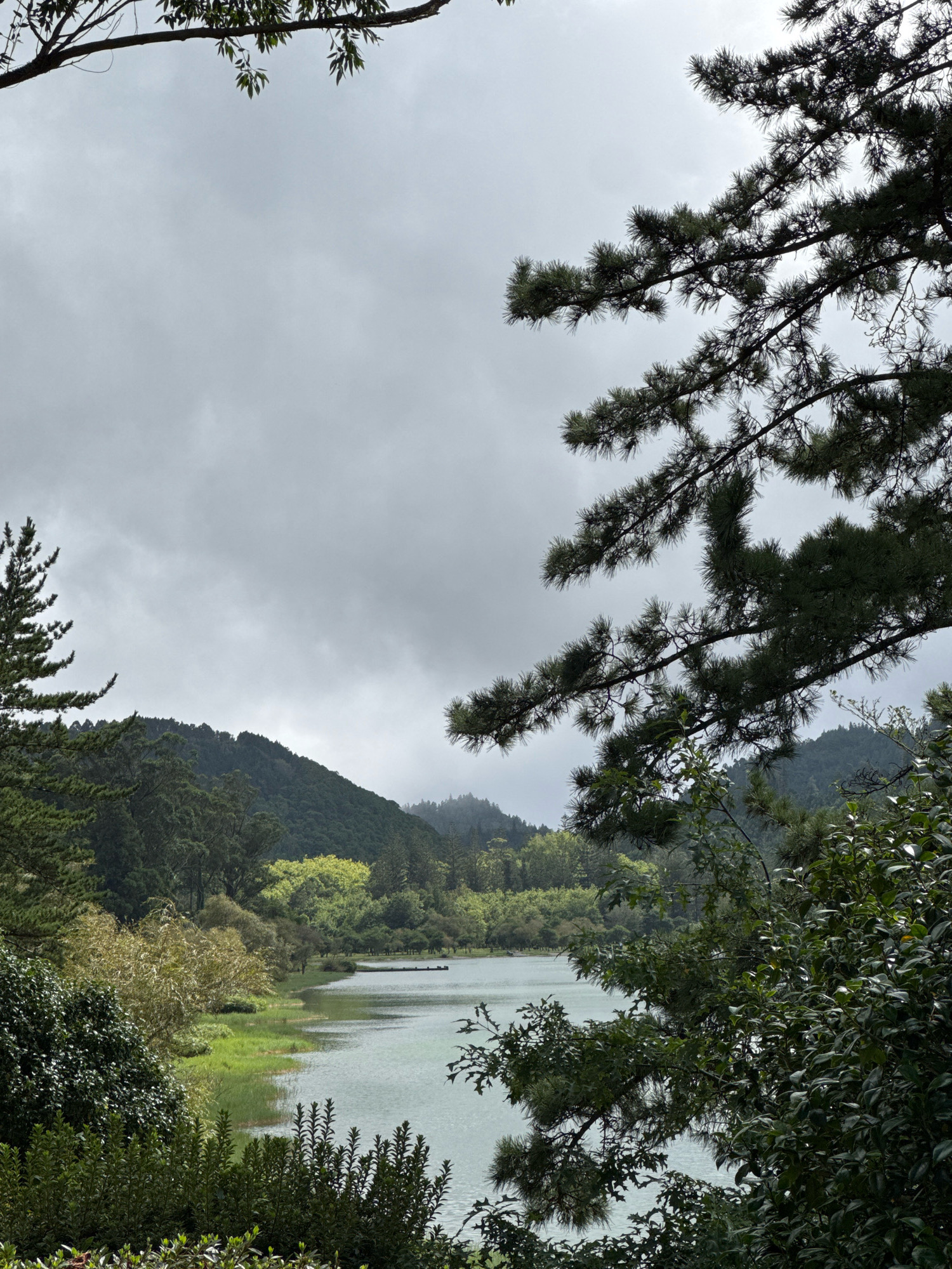 A serene lake is framed by lush green trees and a gentle, rolling hillside under a cloudy sky. The water of the lake has a pale turquoise hue and is calm, with a small wooden dock visible on the far shore. The vegetation is varied, with dense bushes in the foreground and a mix of deciduous and coniferous trees leading up to the hills. The lighting suggests an overcast day, creating a soft, diffused illumination across the landscape.