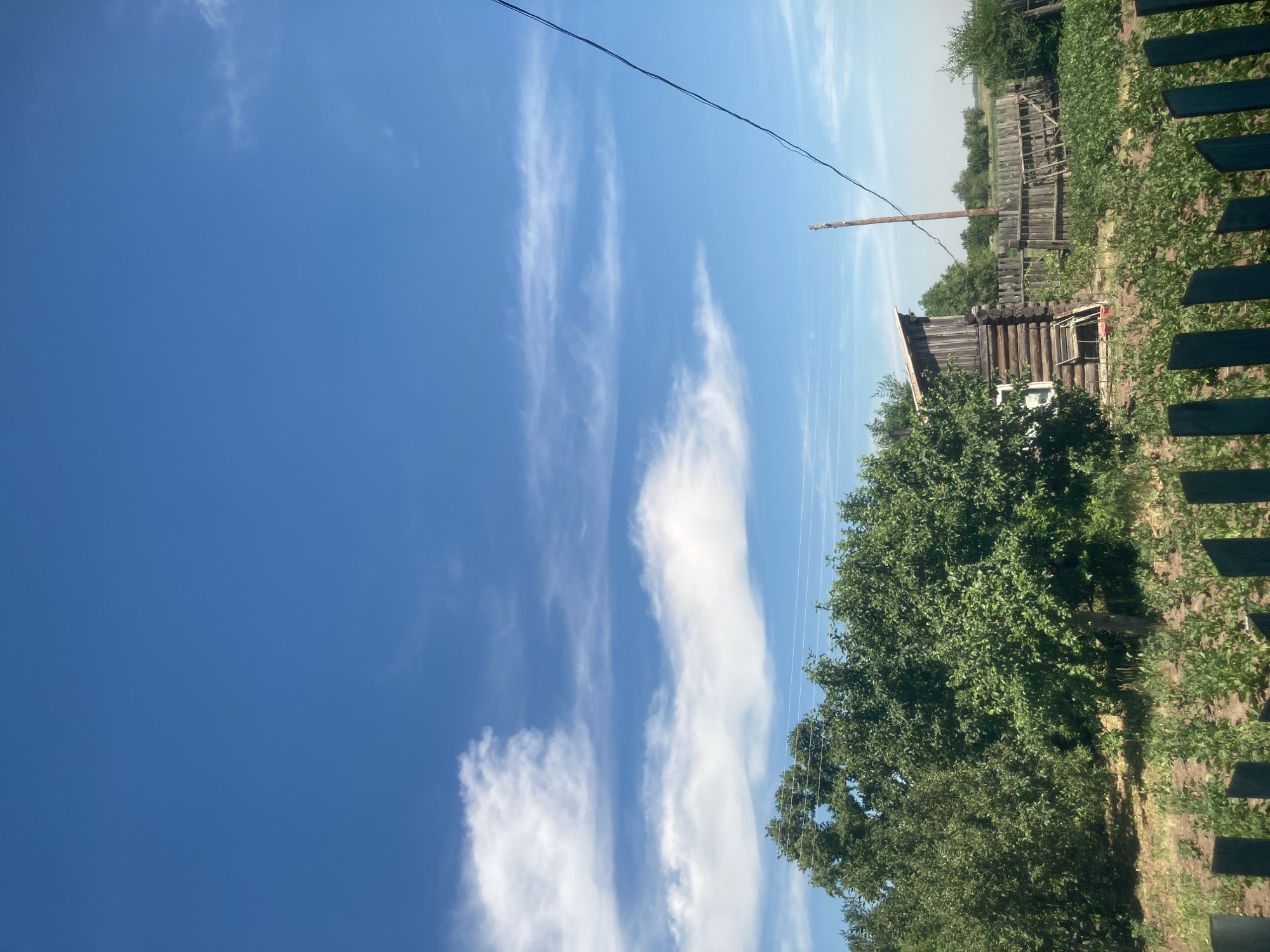 In the village of Rakity, Russia, a rustic log cabin with a tin roof stands partially visible behind a lush green orchard. The cabin, weathered and aged, has a single window and a rudimentary entrance. A dilapidated wooden fence encloses the property, with some sections leaning precariously. Beyond the fence, a field of young plants stretches towards a distant treeline under a vast, bright blue sky dotted with wispy white clouds. A single wooden utility pole stands tall, with a black electrical wire extending diagonally across the frame. A dark wooden fence, partially obscured, runs along the bottom of the image, suggesting a foreground boundary. The scene is bathed in bright daylight, indicating a clear, sunny day.