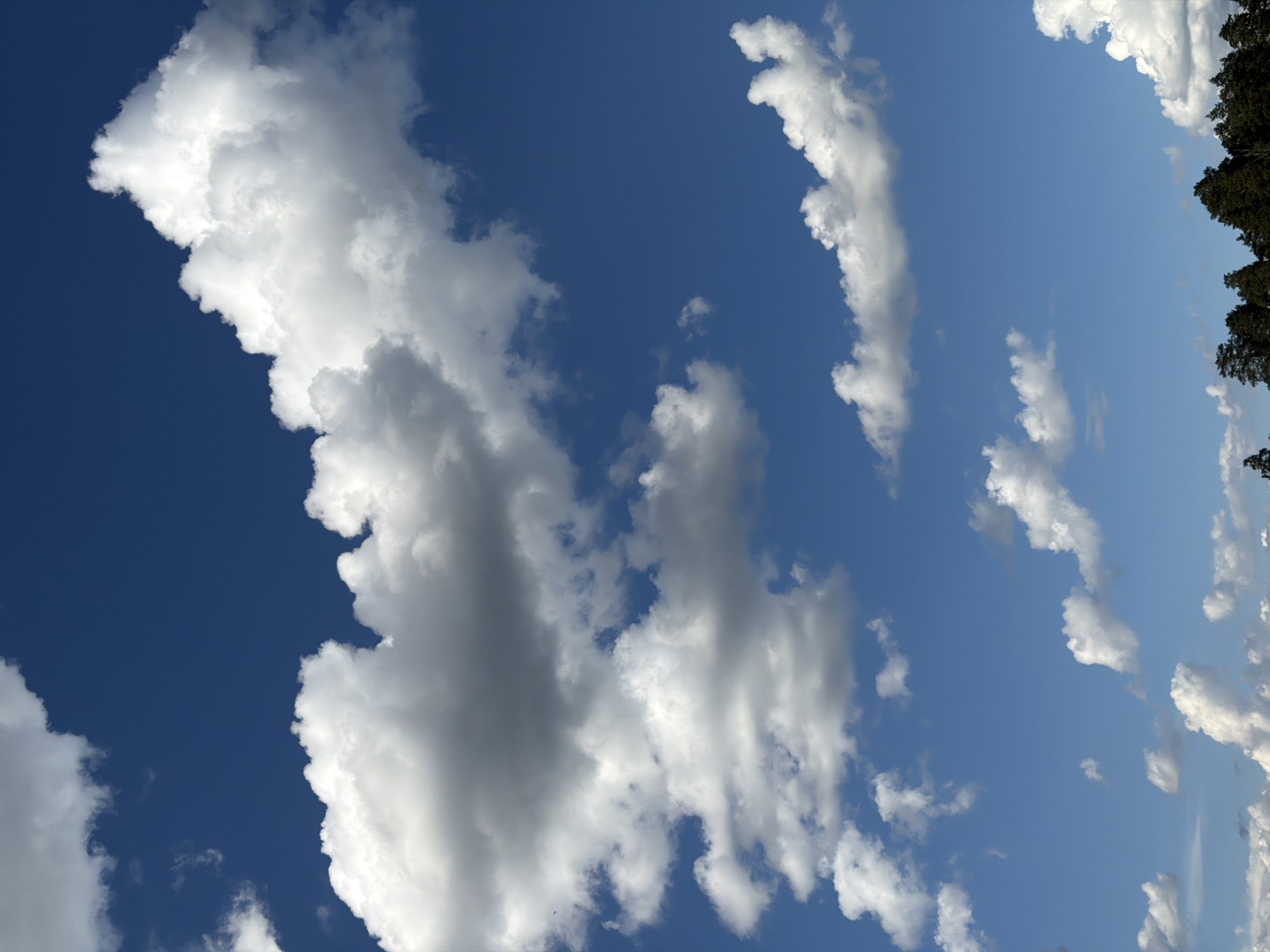 The image shows a view of the sky. The sky is blue, with large white clouds. A few tree tops appear in the upper right corner. The image appears to be taken during the daytime, and has good visibility. It's difficult to identify the specific location within Chaikovsky, Russia from the image alone without additional landmarks or contextual information.