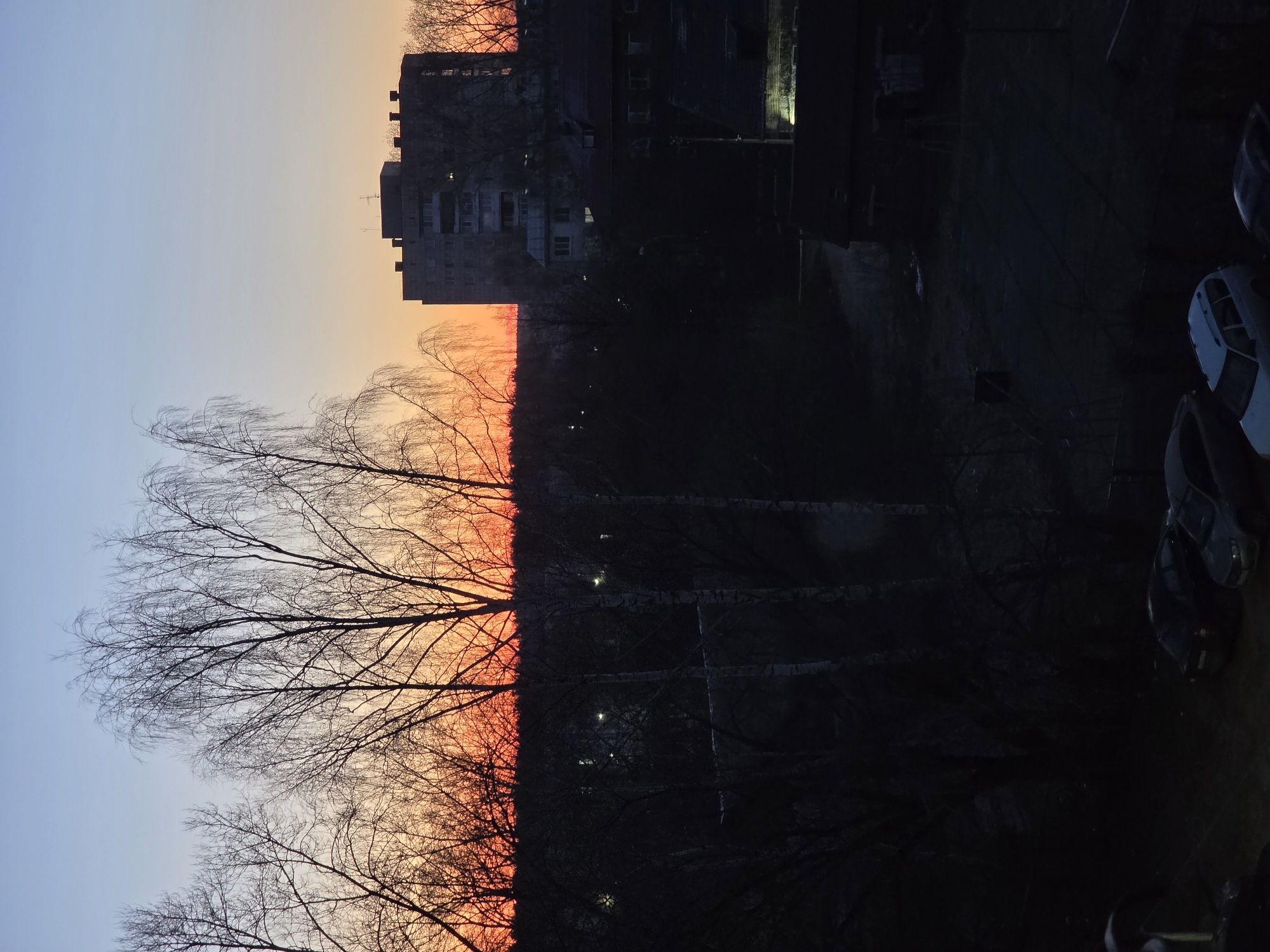 The image depicts an urban scene at dusk in Chaikovsky, Russia. The sky transitions from light blue to orange near the horizon, suggesting a sunset or sunrise. Silhouetted bare tree branches are visible against the sky. A tall, multi-story concrete building stands in the background. The right side of the image is dark, revealing some parked cars. The scene appears to be an urban area, likely a residential neighborhood, as indicated by the buildings and cars. Streetlights can be seen in the darkness between the trees. There are no people visible in the image.