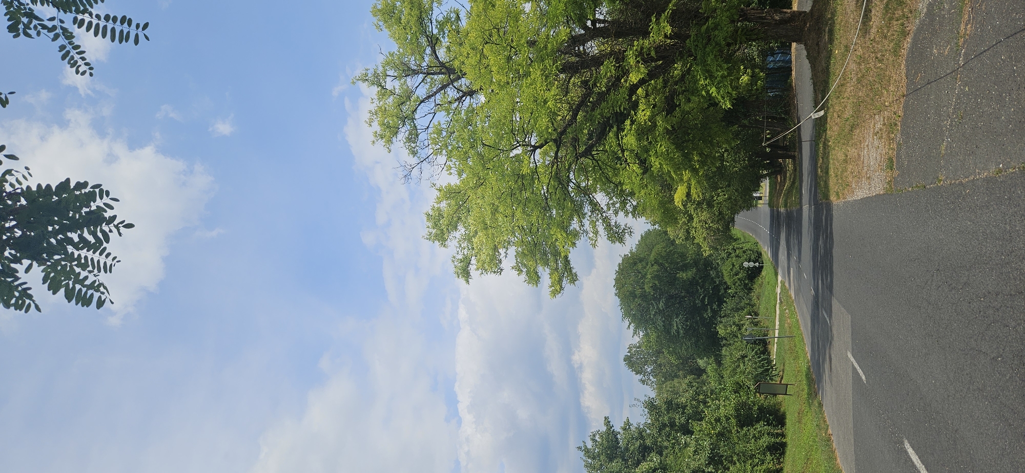 The image depicts a road in the city of Hévíz, Hungary. The road is asphalt and has a white line painted down the center. It is flanked by trees and vegetation on both sides, with a blue fence visible on the right. The sky is blue with scattered white clouds. The scene appears to be a rural or suburban area, possibly on the outskirts of the city. There are no people or animals visible in the image. The lighting suggests it is daytime, likely late morning or early afternoon.