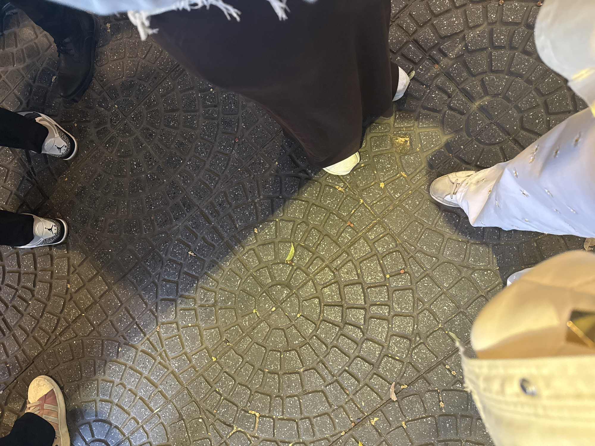 This photograph depicts a group of people standing on a patterned, circular pavement, likely a public square or pedestrian area. The image is taken from a high-angle perspective, showing only the lower portions of their bodies, focusing on their feet and shoes. The individuals are wearing a variety of attire, including black shoes, sneakers (some of which appear to be Jordans), and a dress. The pavement itself features a repeating pattern of small, square-shaped stones arranged in concentric circles, and scattered leaves are present. The location is presumed to be in Mexico City, Mexico.
