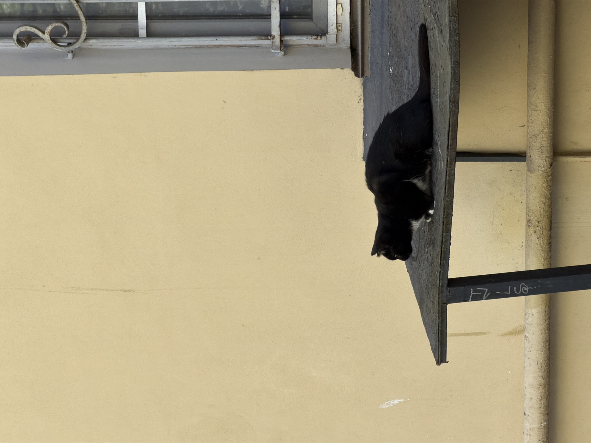 A black cat with white markings on its chest and front paws is crouched low on a dark, weathered metal canopy or shelf, its head turned to the left, out of frame. The canopy is supported by a dark metal upright, featuring white, stylized graffiti resembling "ELS." The background consists primarily of a plain, light beige stucco wall, exhibiting minor dirt streaks and scuffs, including a prominent vertical dark streak and a white splash mark near the bottom left. To the right, a segment of an old, grimy window with multiple panes and a grey frame is visible, secured by an ornate, rusted metal grille shaped like a stylized 'B' or scroll at the upper right. Below the canopy, a textured, yellow-beige horizontal pipe runs along the wall, with a thinner, darker pipe positioned beneath it. This urban scene is located in Saint Petersburg, Russia.